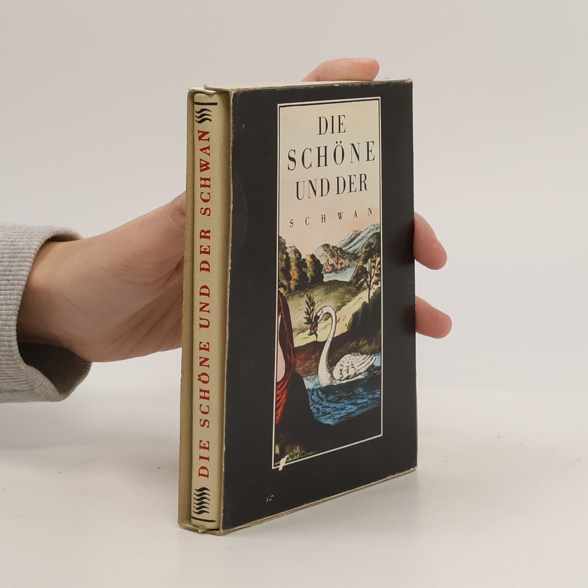 Rainer Kirsch Die Schöne und der Schwan