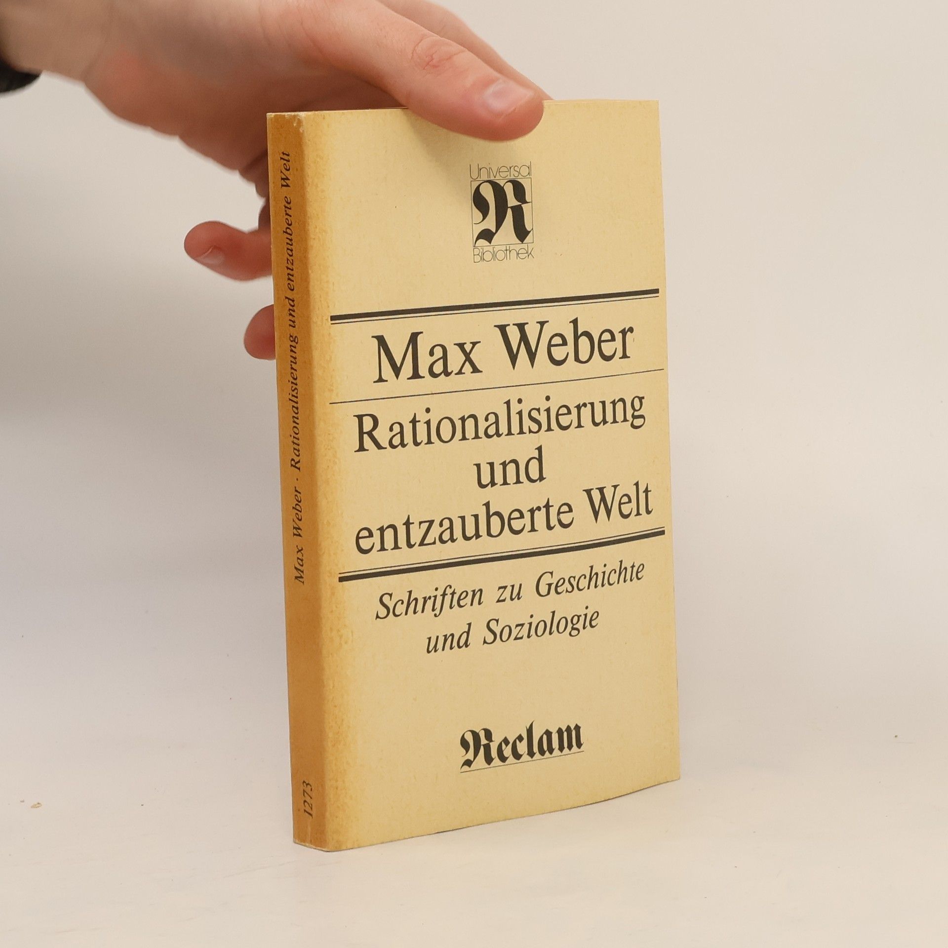 Max Weber Rationalisierung und entzauberte Welt