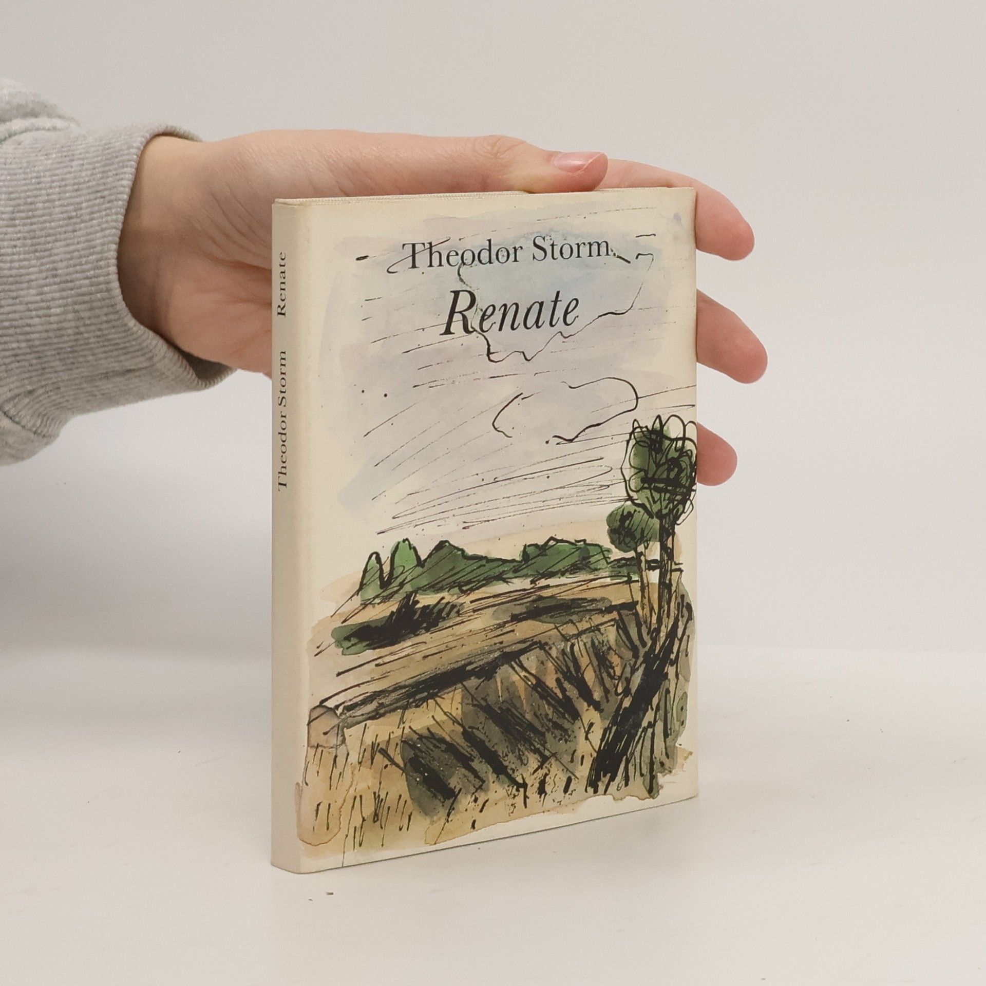 Hans Theodor Woldsen Storm Renate