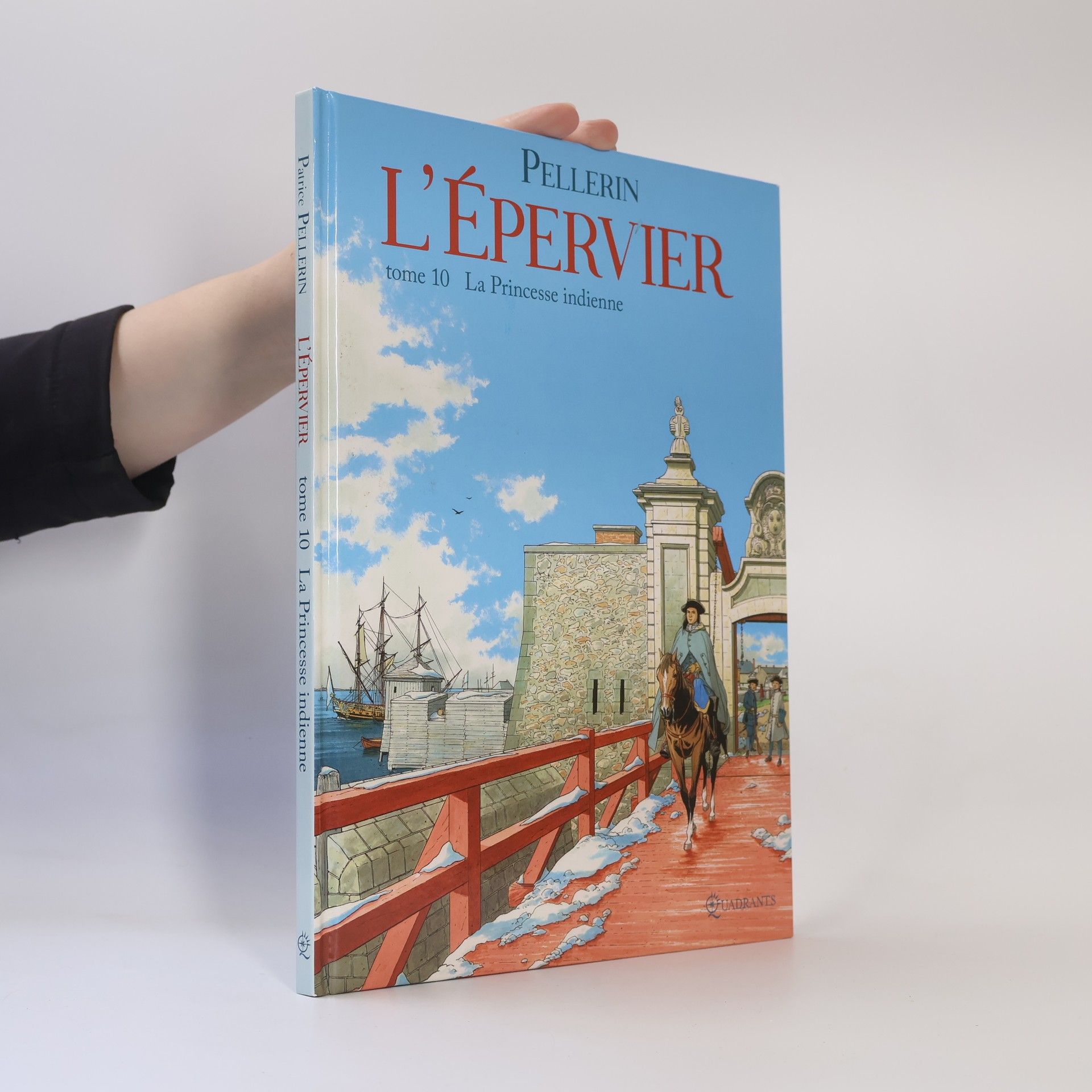 Patrice Pellerin L'Épervier T10