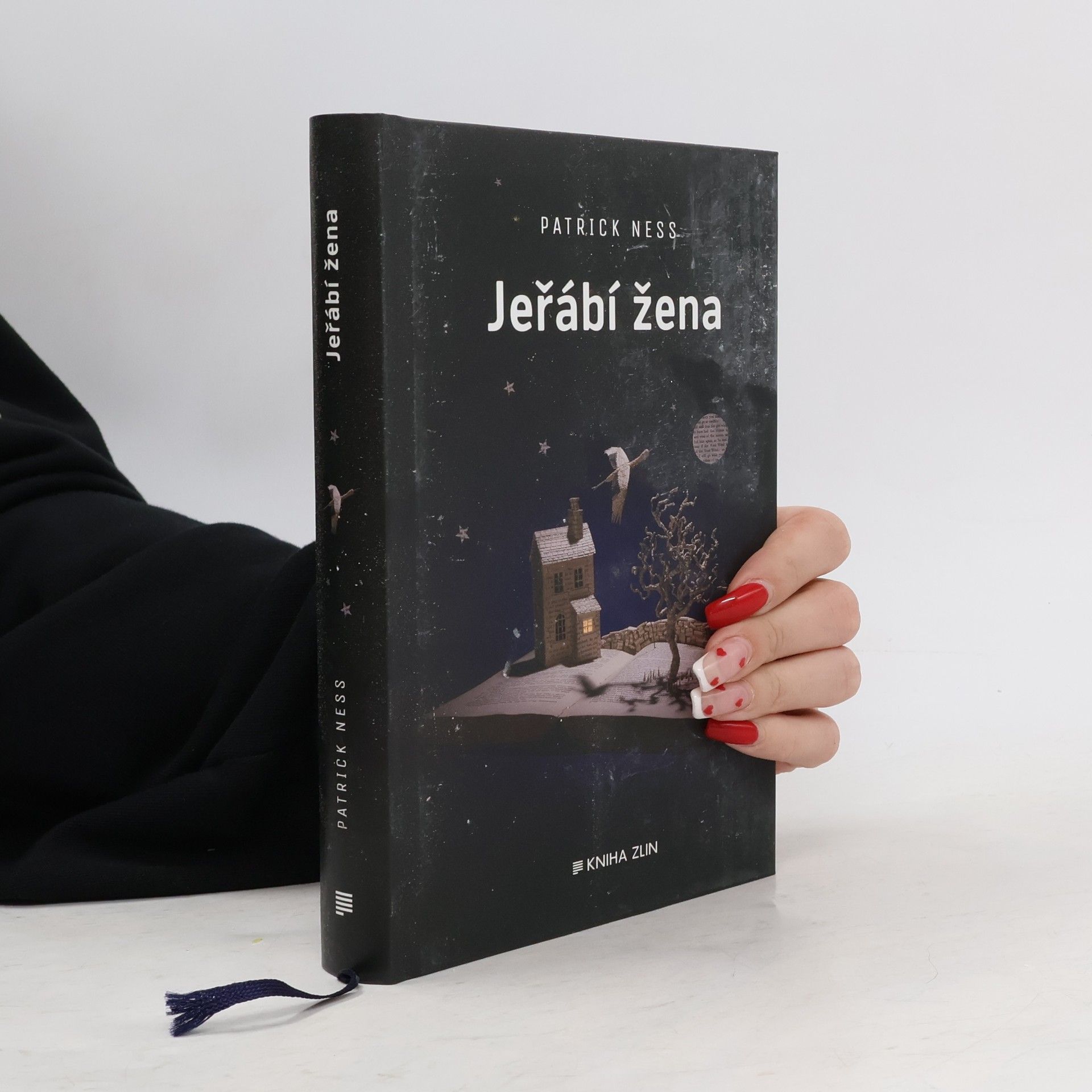 Patrick Ness Jeřábí žena