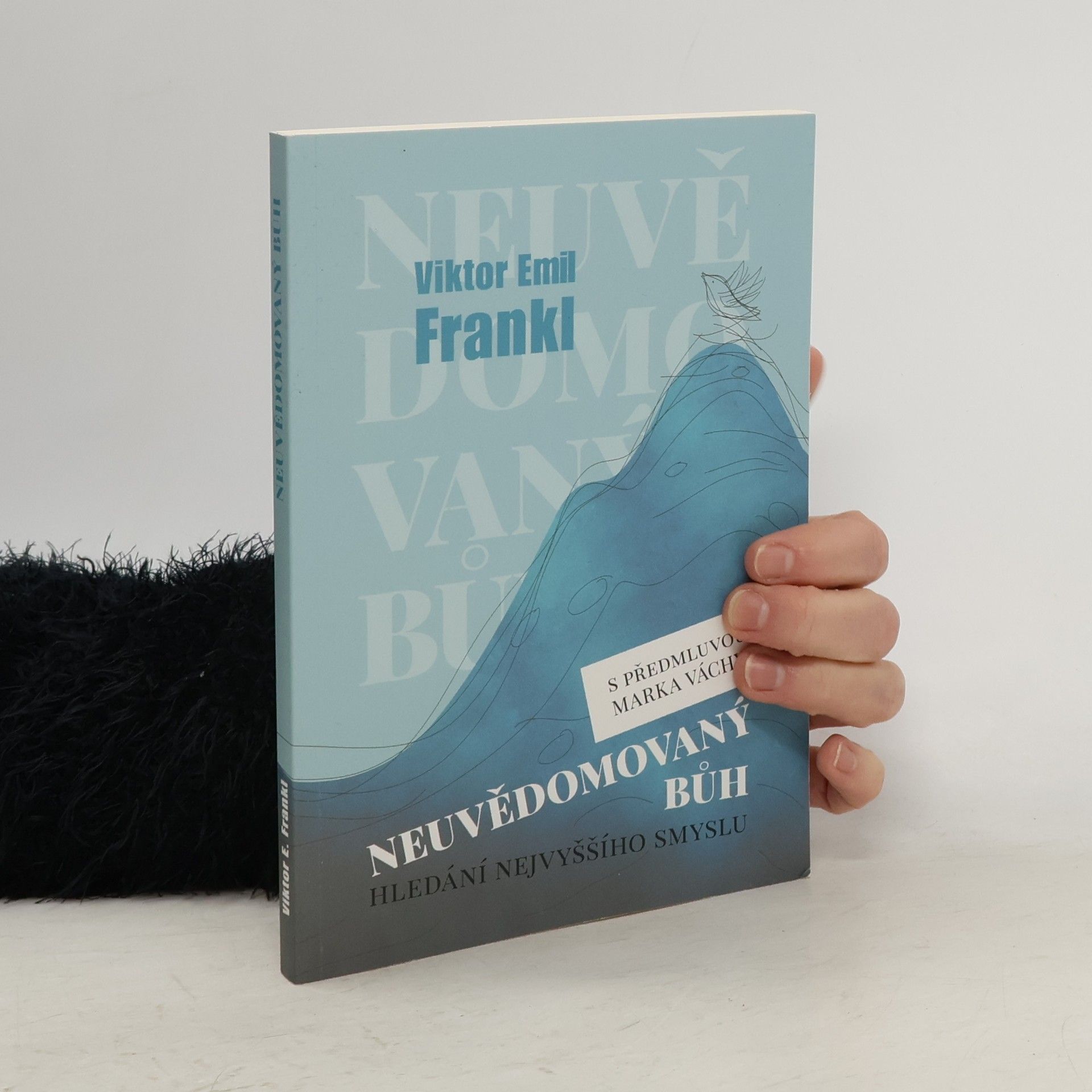 Neuvědomovaný Bůh: Hledání nejvyššího smyslu