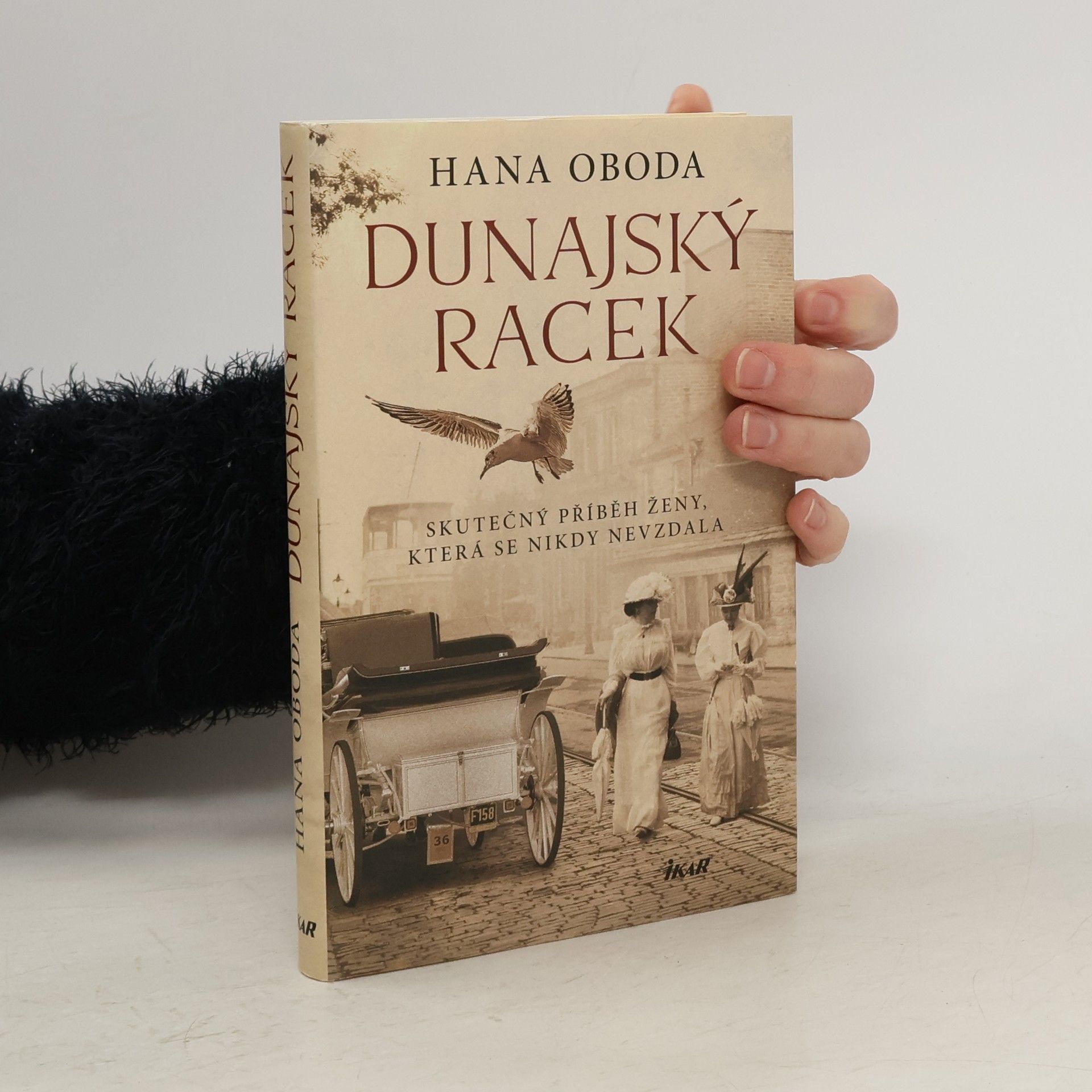 Hana Kolaříková Dunajský racek