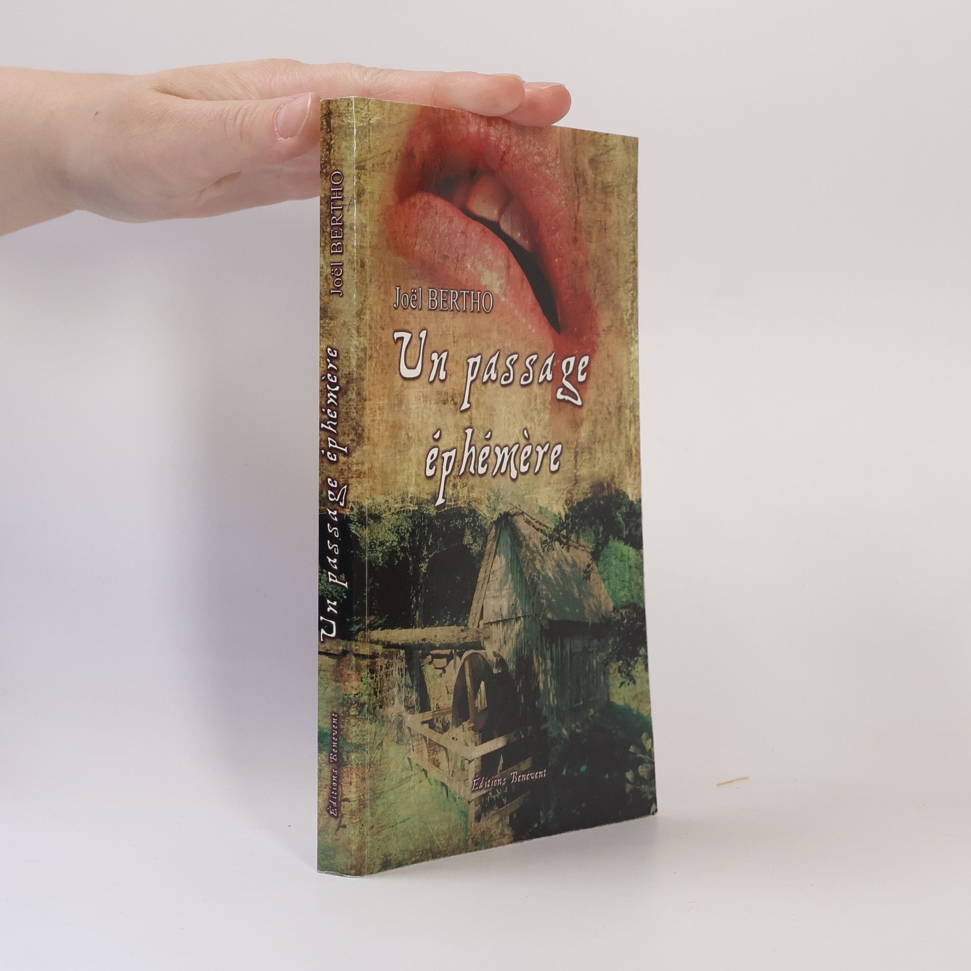 Joël Bertho Un passage éphémère