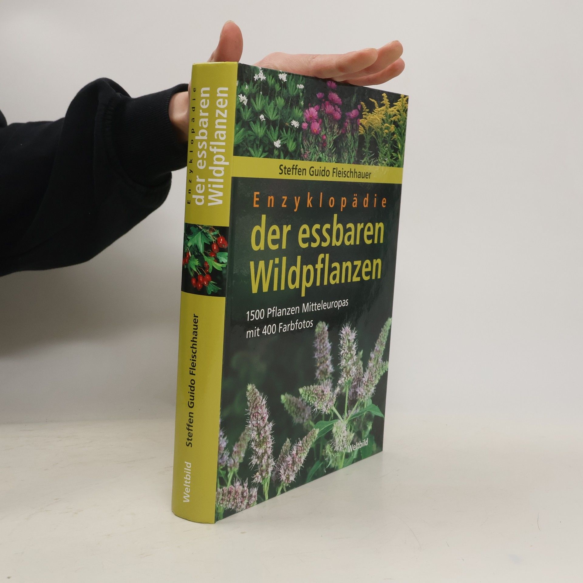 Steffen Guido Fleischhauer Enzyklopädie der essbaren Wildpflanzen