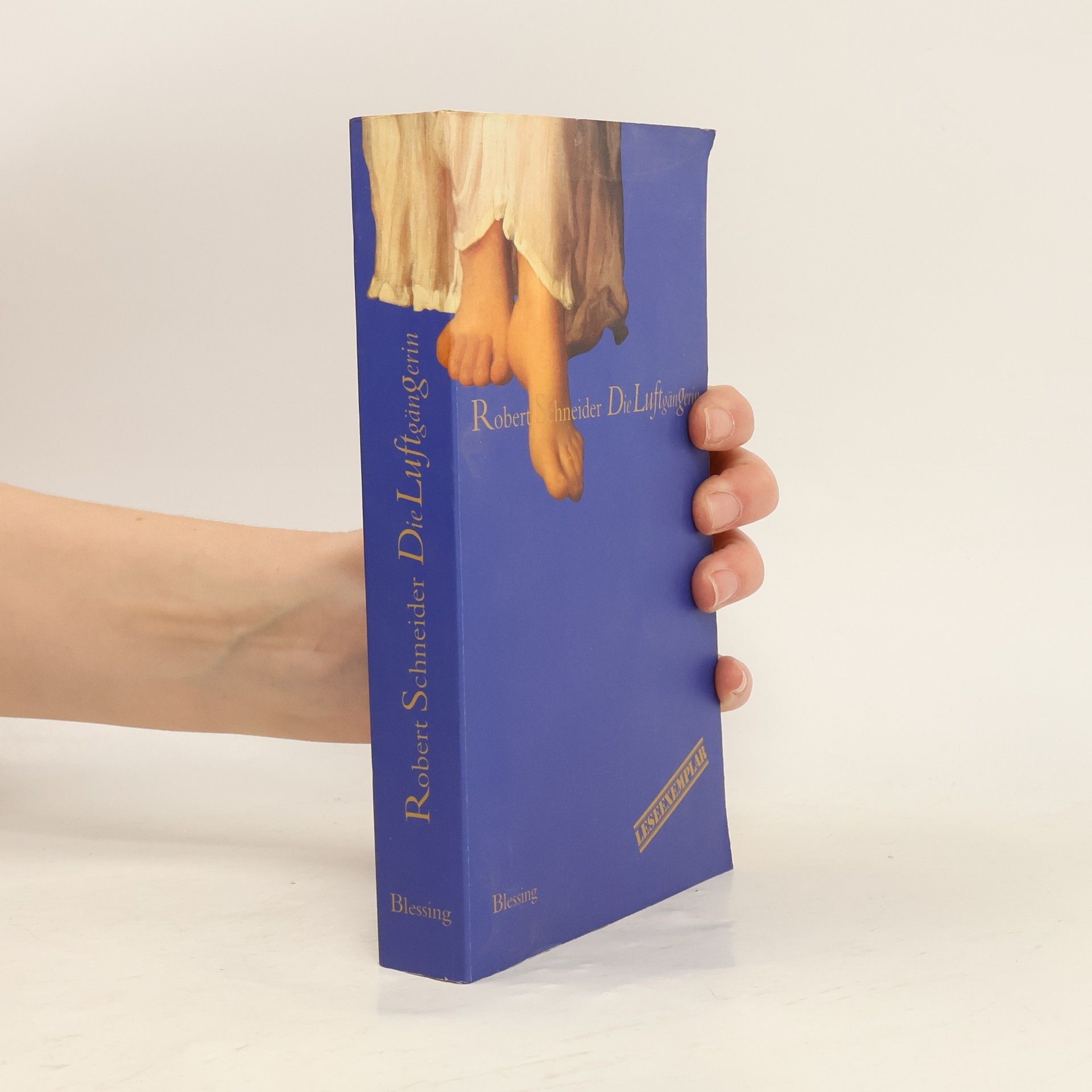 Robert Schneider Die Luftgängerin