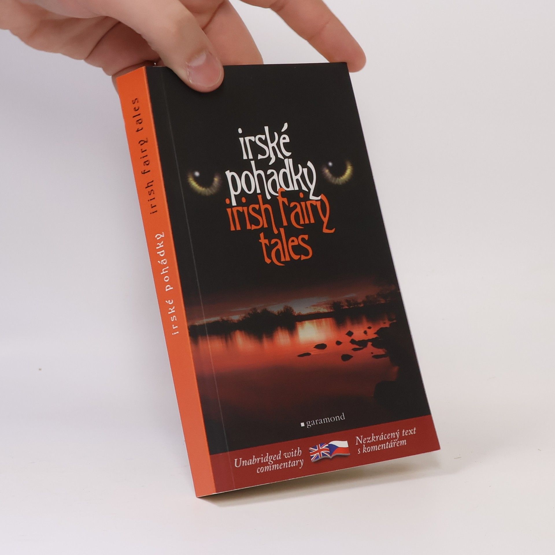 Lukáš Houdek Irish fairy tales = Irské pohádky