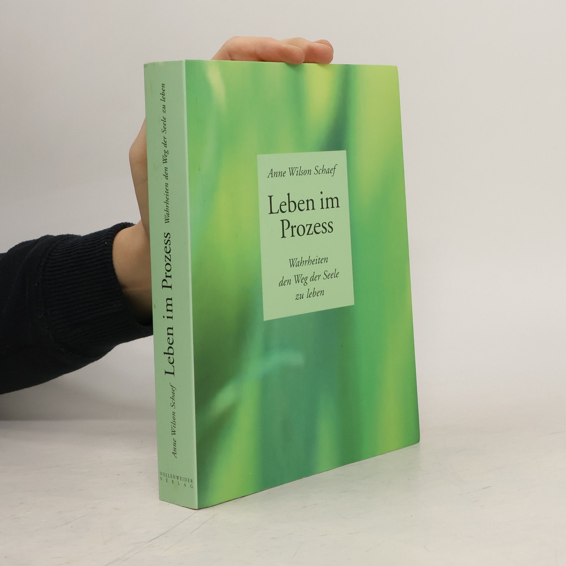 Anne Wilson Schaef Leben im Prozess