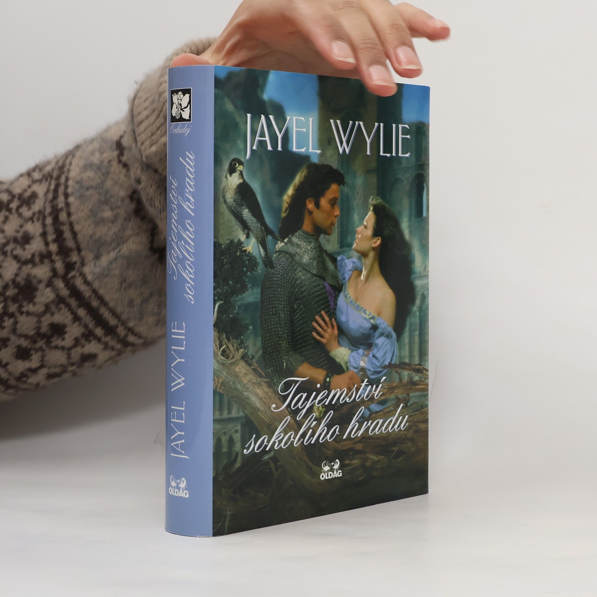 Jayel Wylie Tajemství sokolího hradu