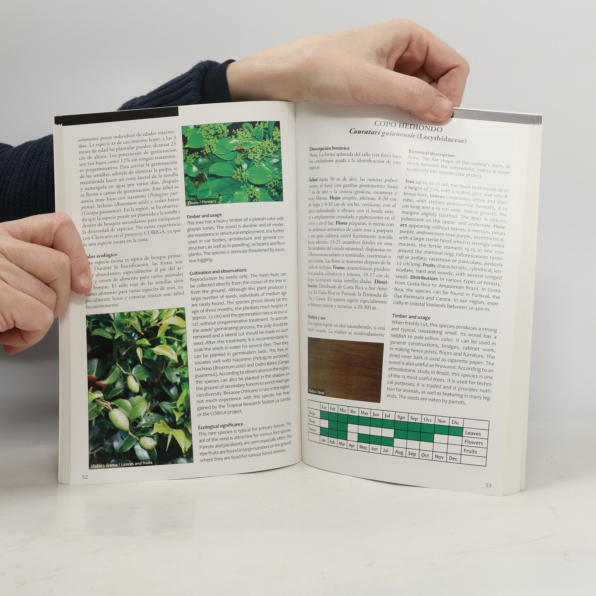 Auteurscollectief Creando un bosque. Creatin a Forest