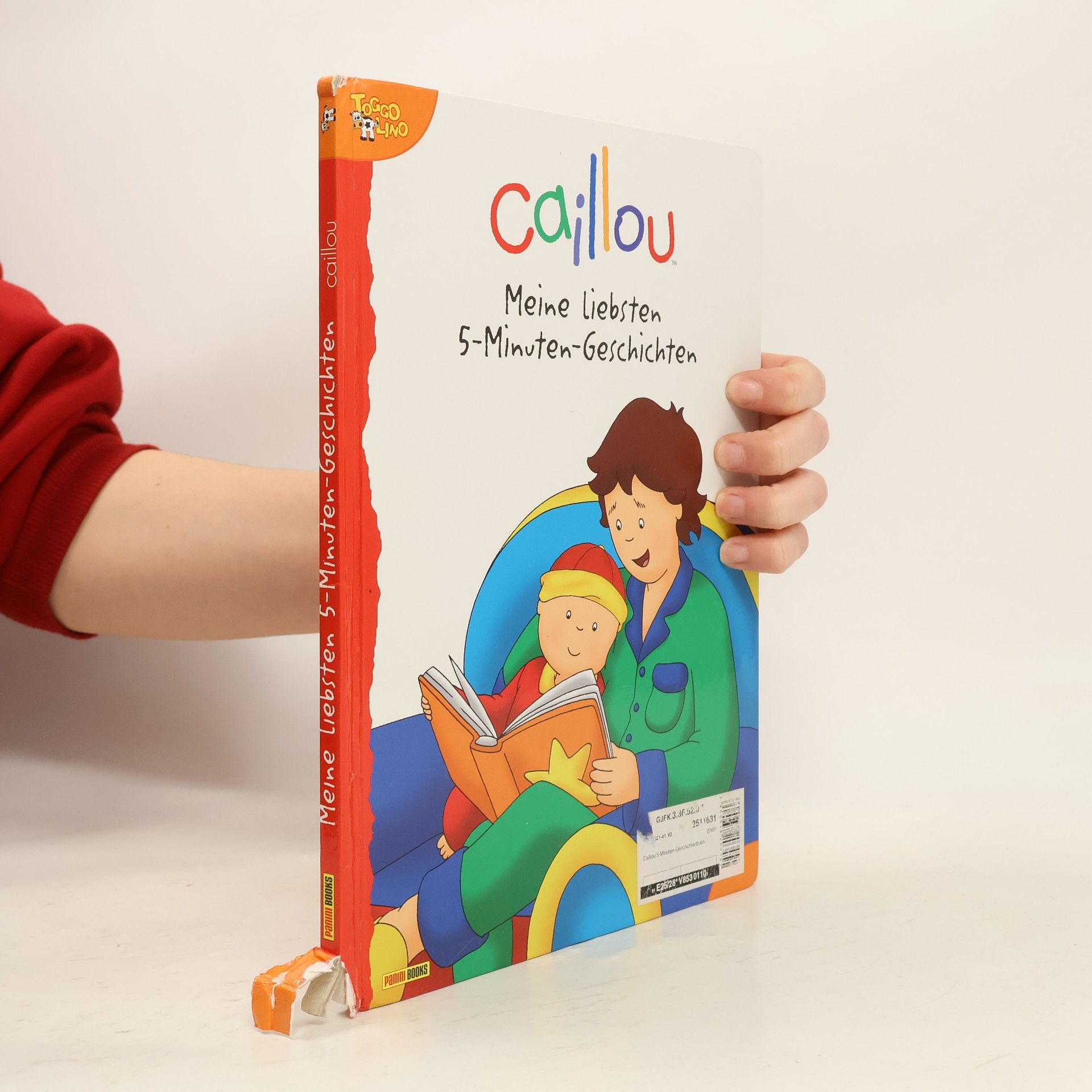 Joceline Sanschagrin Caillou