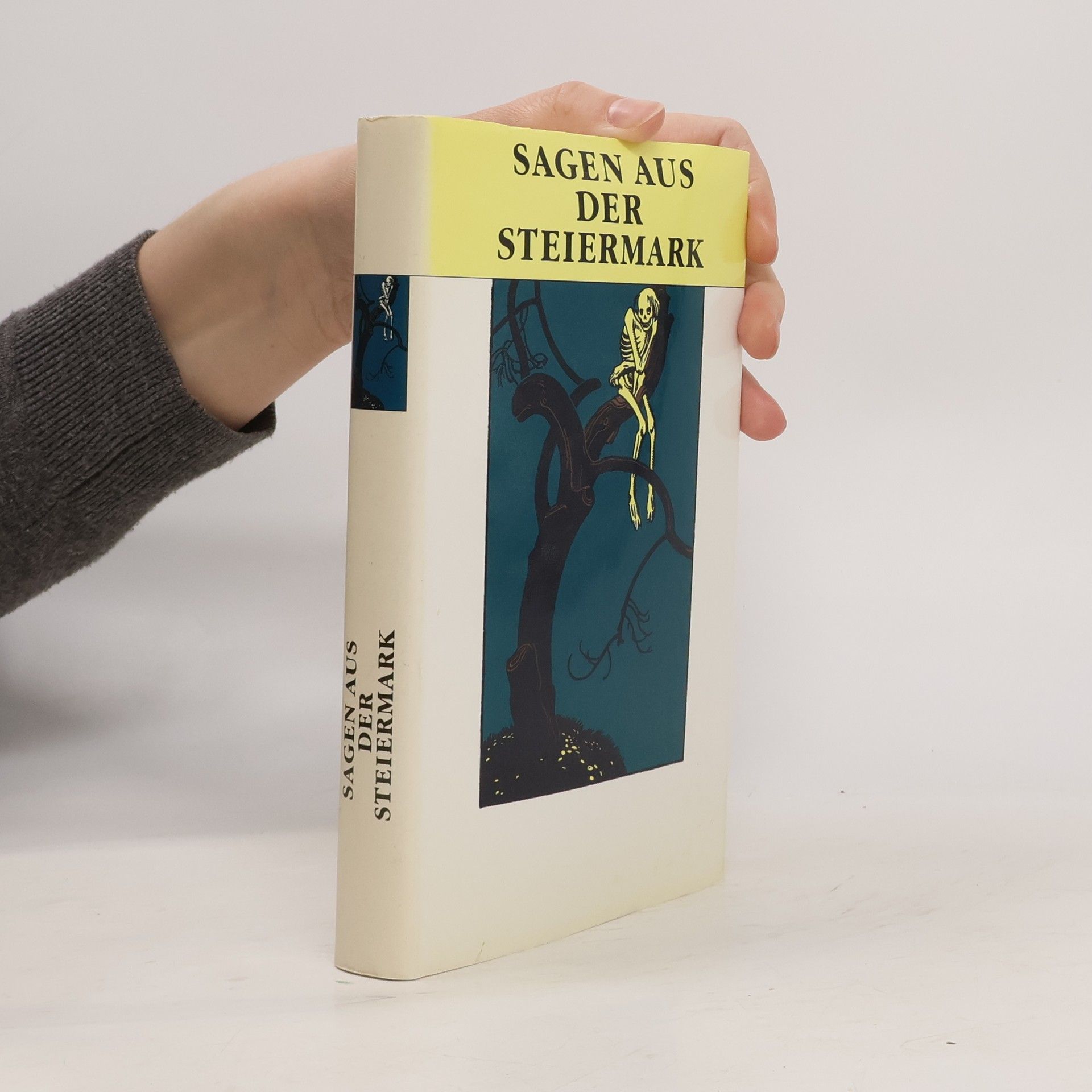 Kolektív autorov Sagen aus der Steiermark