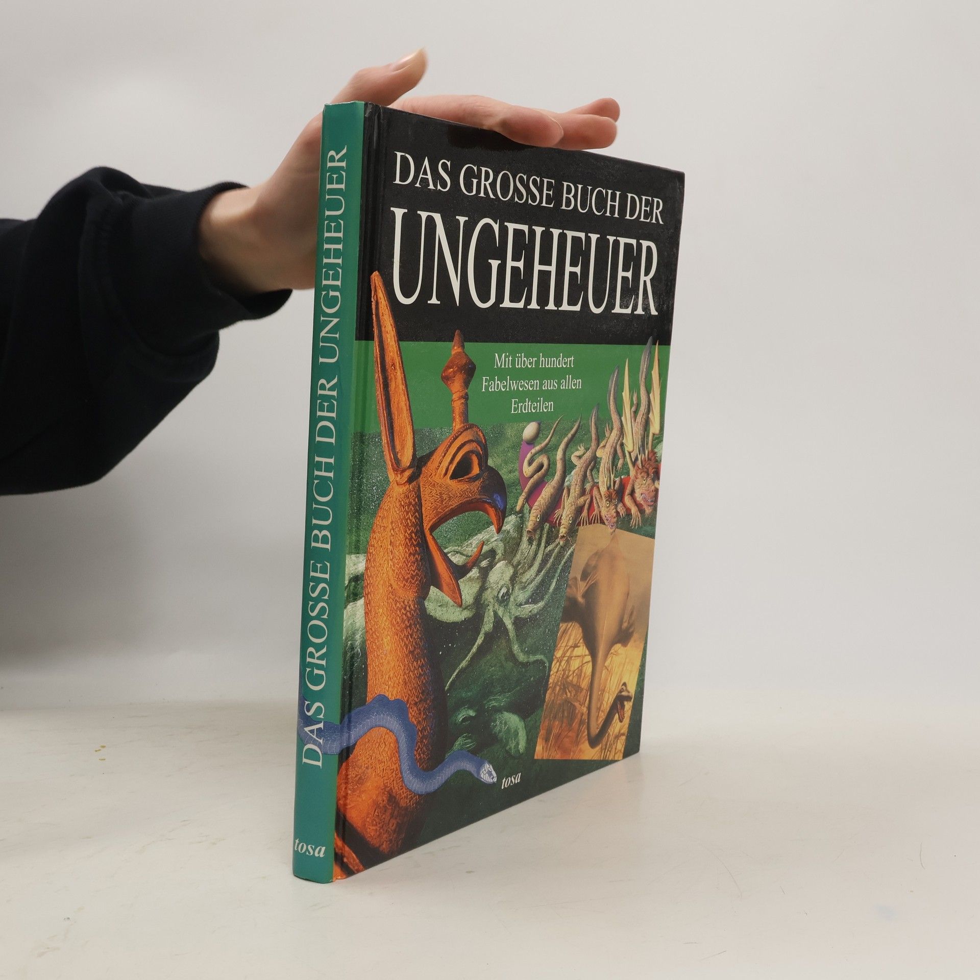 Autorenkollektiv Das große Buch der Ungeheuer