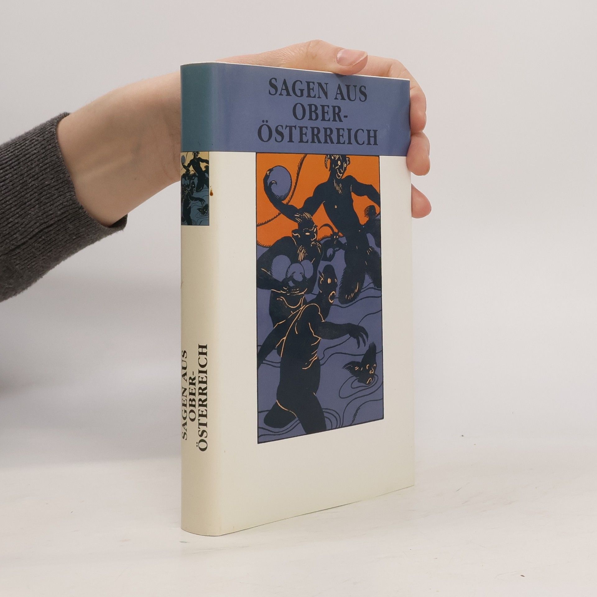 Kolektív autorov Sagen aus Oberösterreich