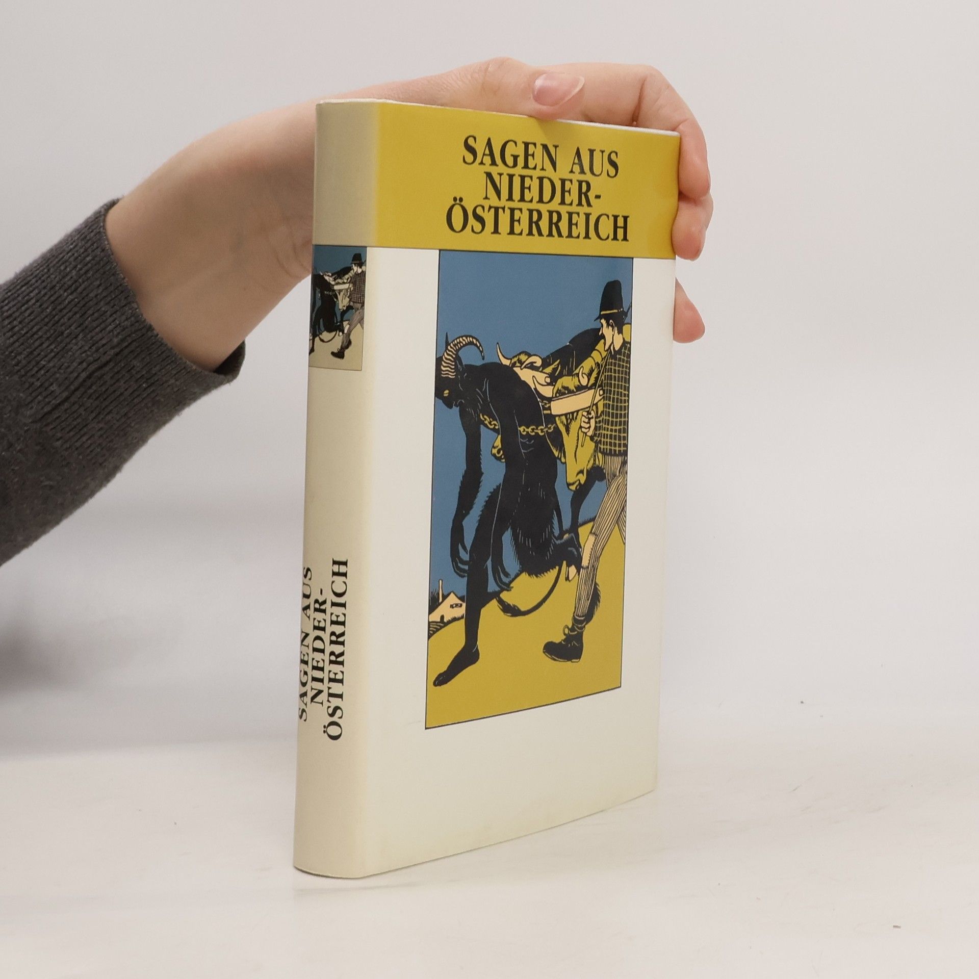 Autorenkollektiv Sagen aus Niederösterreich
