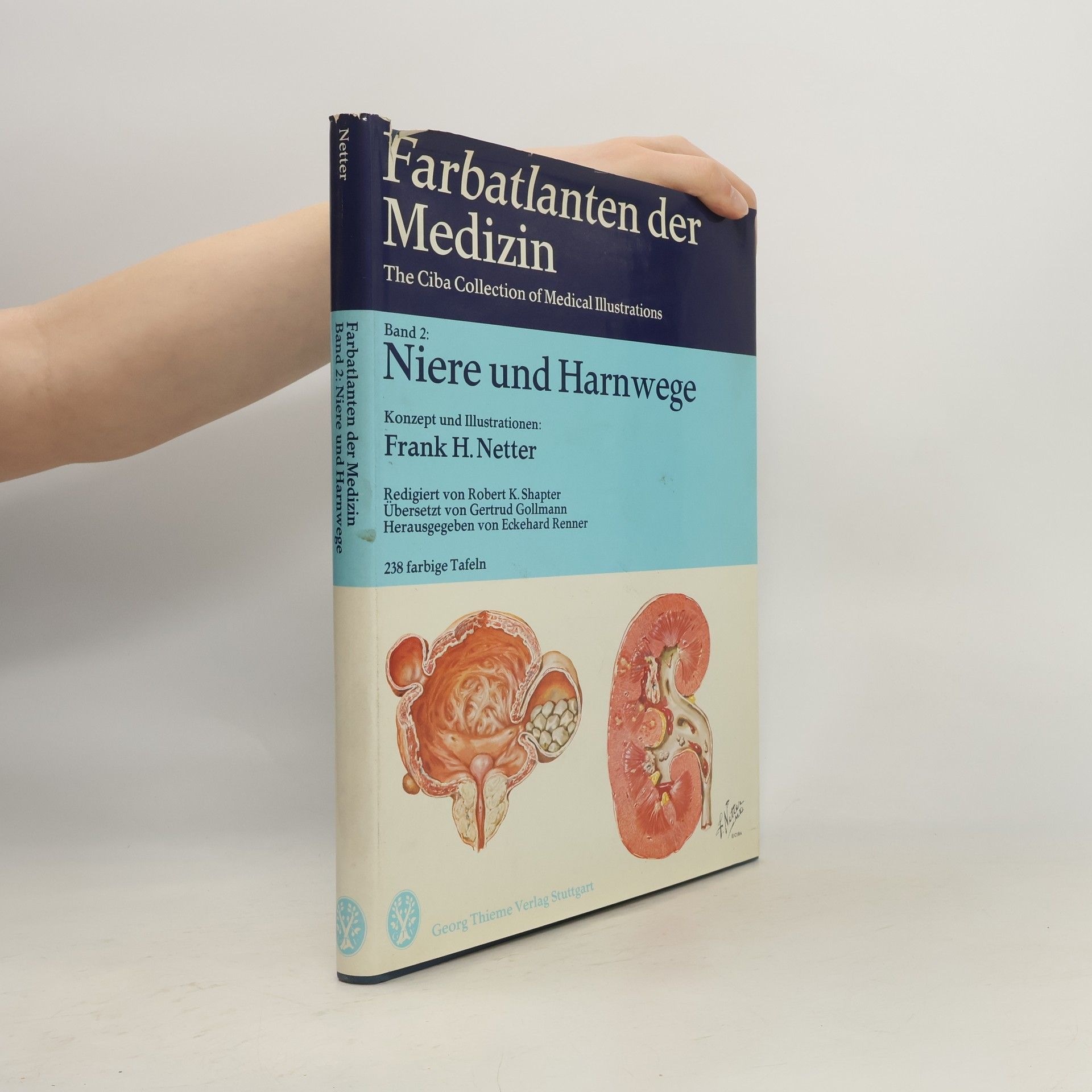 Farbatlanten der Medizin 2. Niere und Harnwege