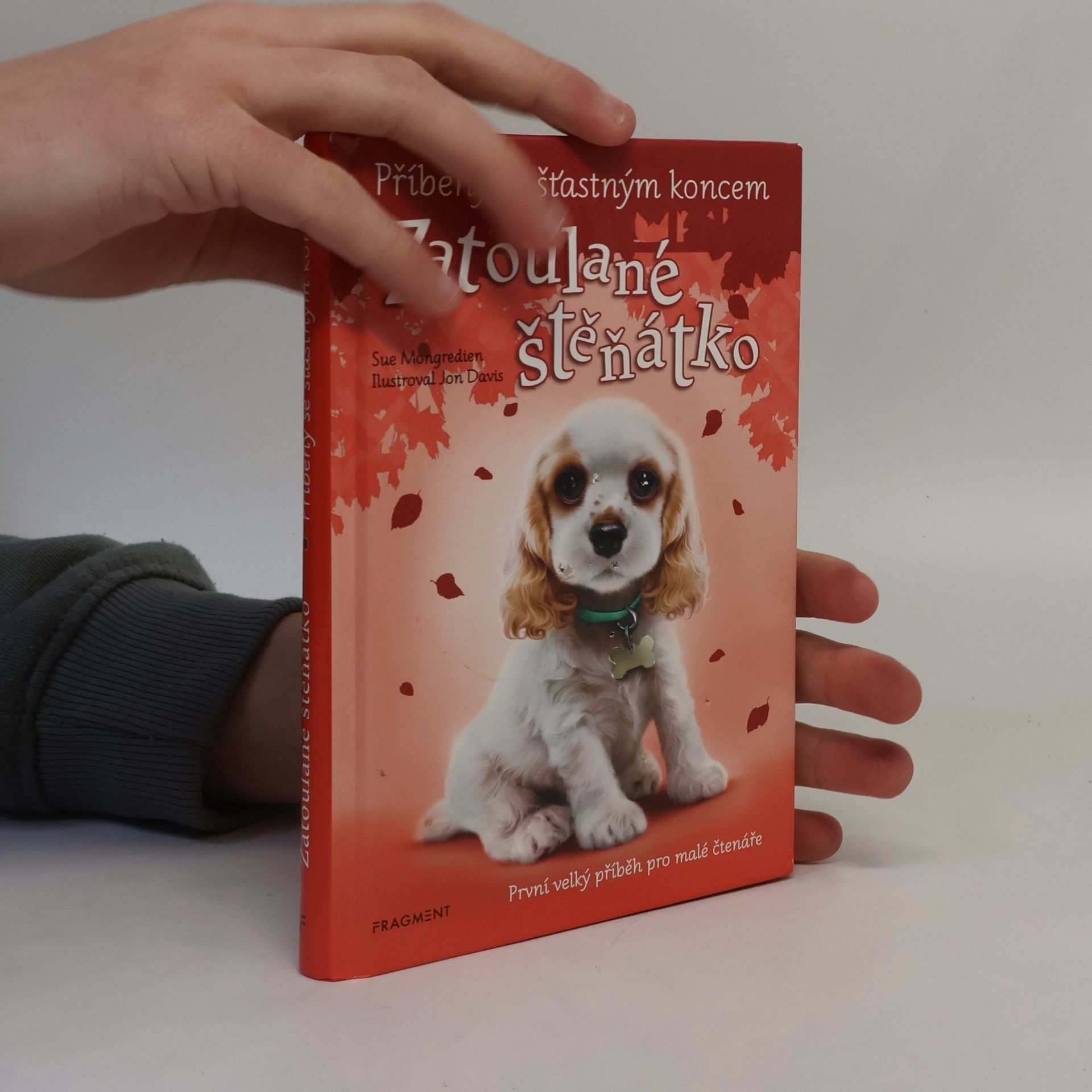 Jon Davis Zatoulané štěňátko