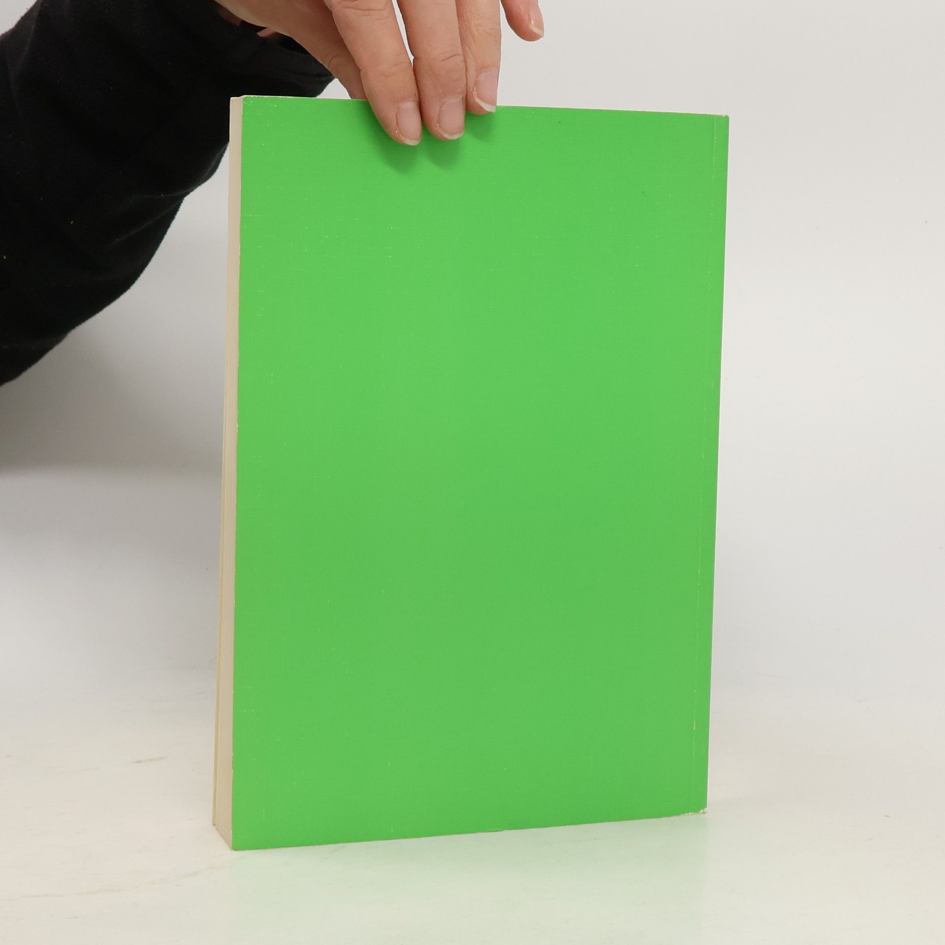 Hannelore Kaeber Schriftenreihe der Bundeszentrale für politische Bildung - 201: Politische Bildung mit Jugendlichen