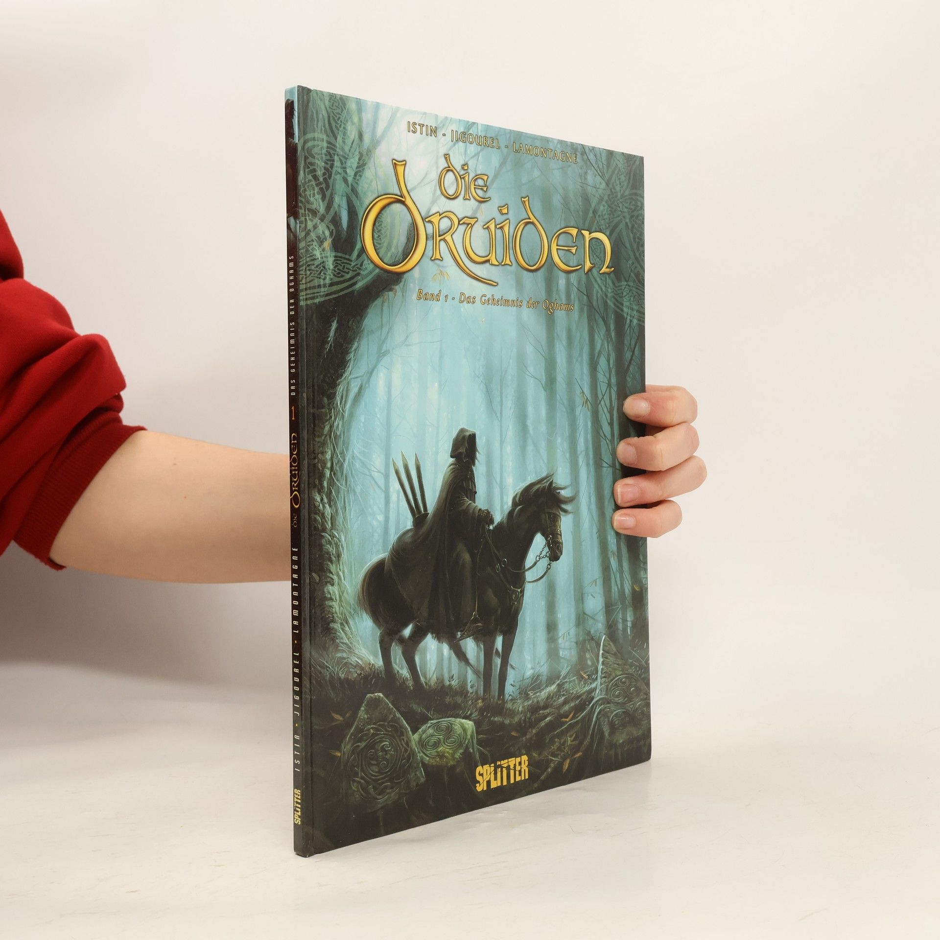 Jean-Luc Istin Die Druiden