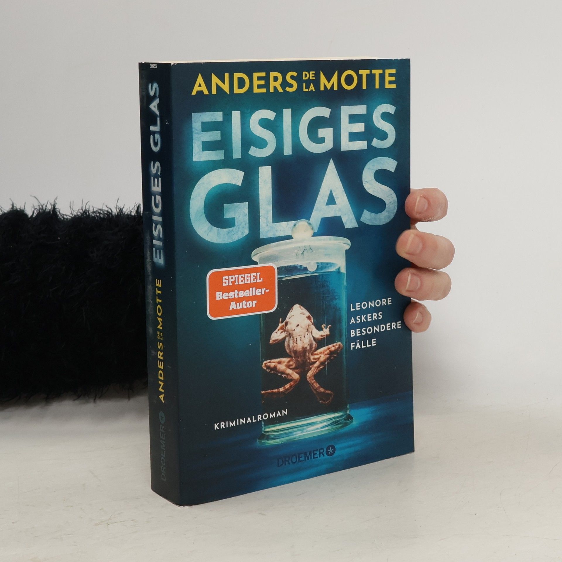 Anders de la Motte Eisiges Glas / Leo Asker Bd.2