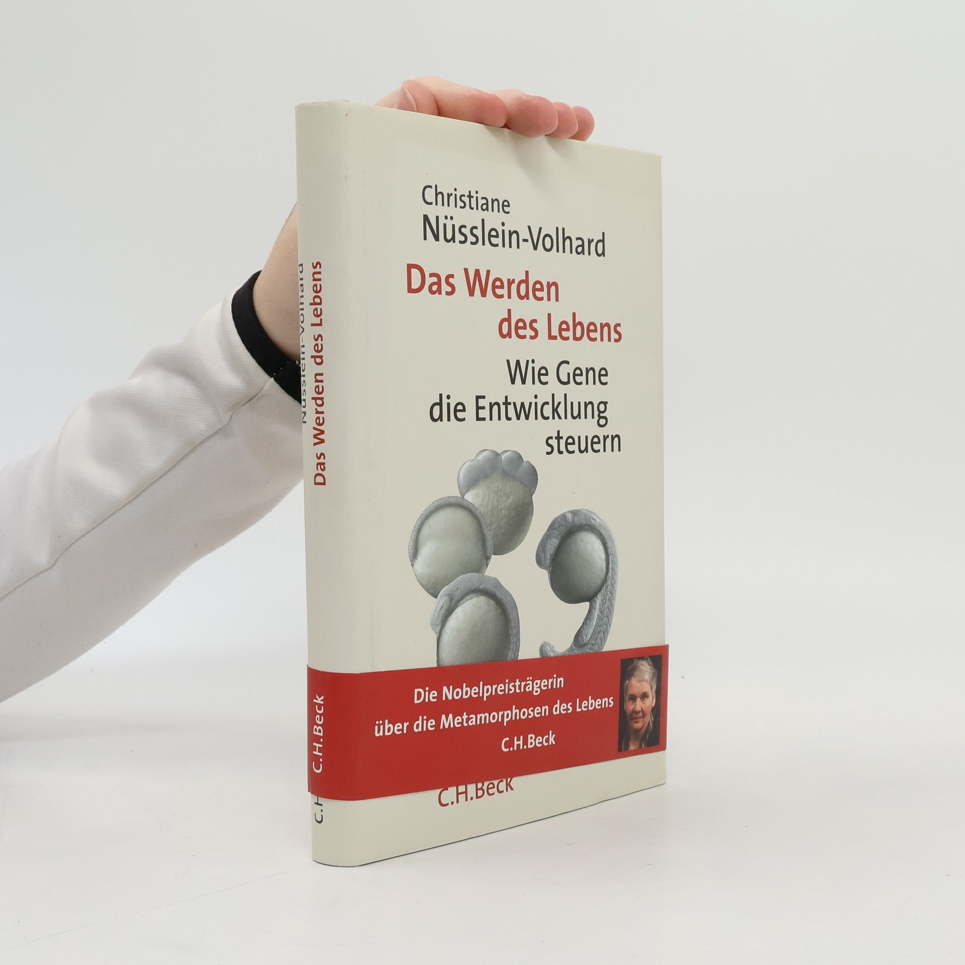 Christiane Nüsslein-Volhard Das Werden des Lebens