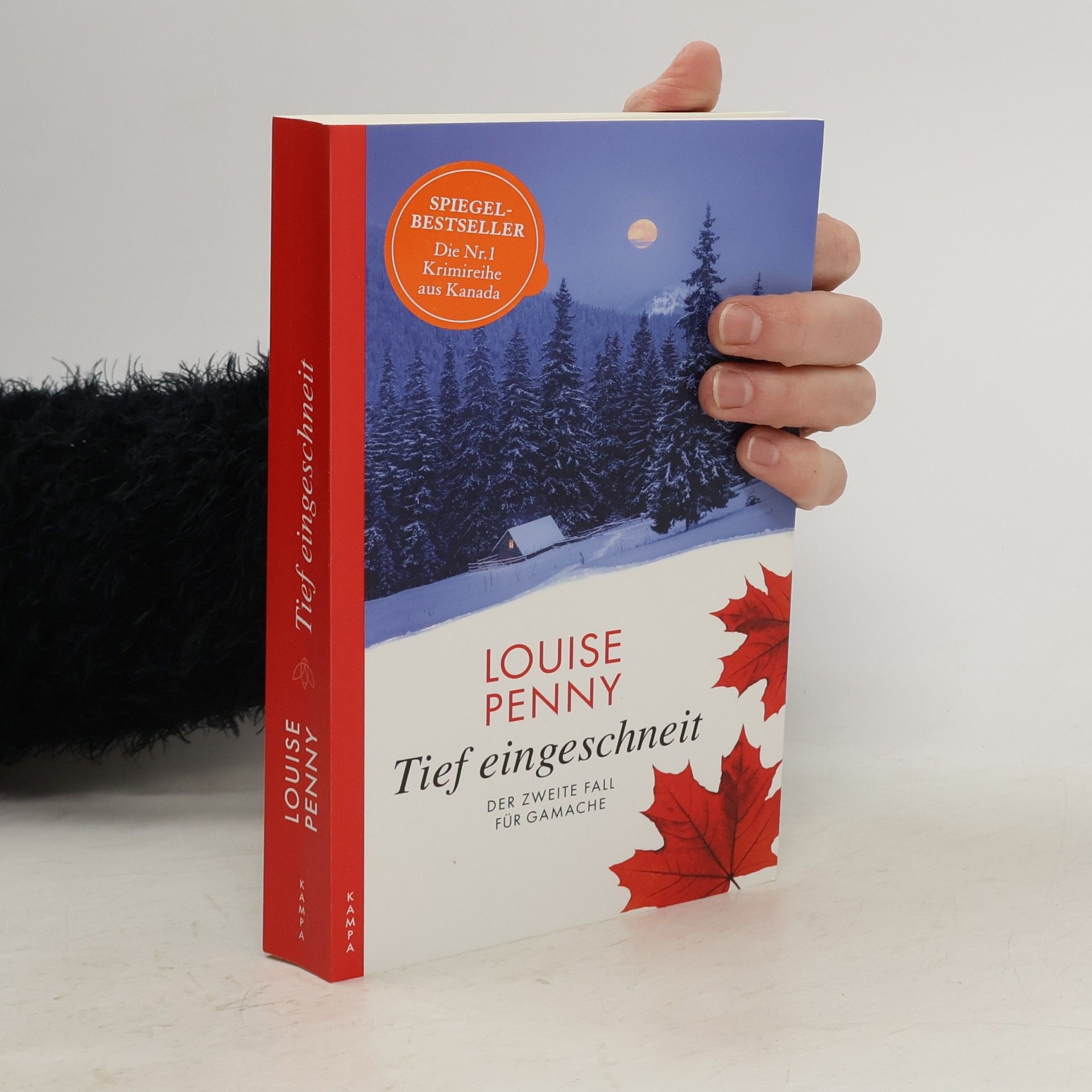 Louise Penny Tief eingeschneit