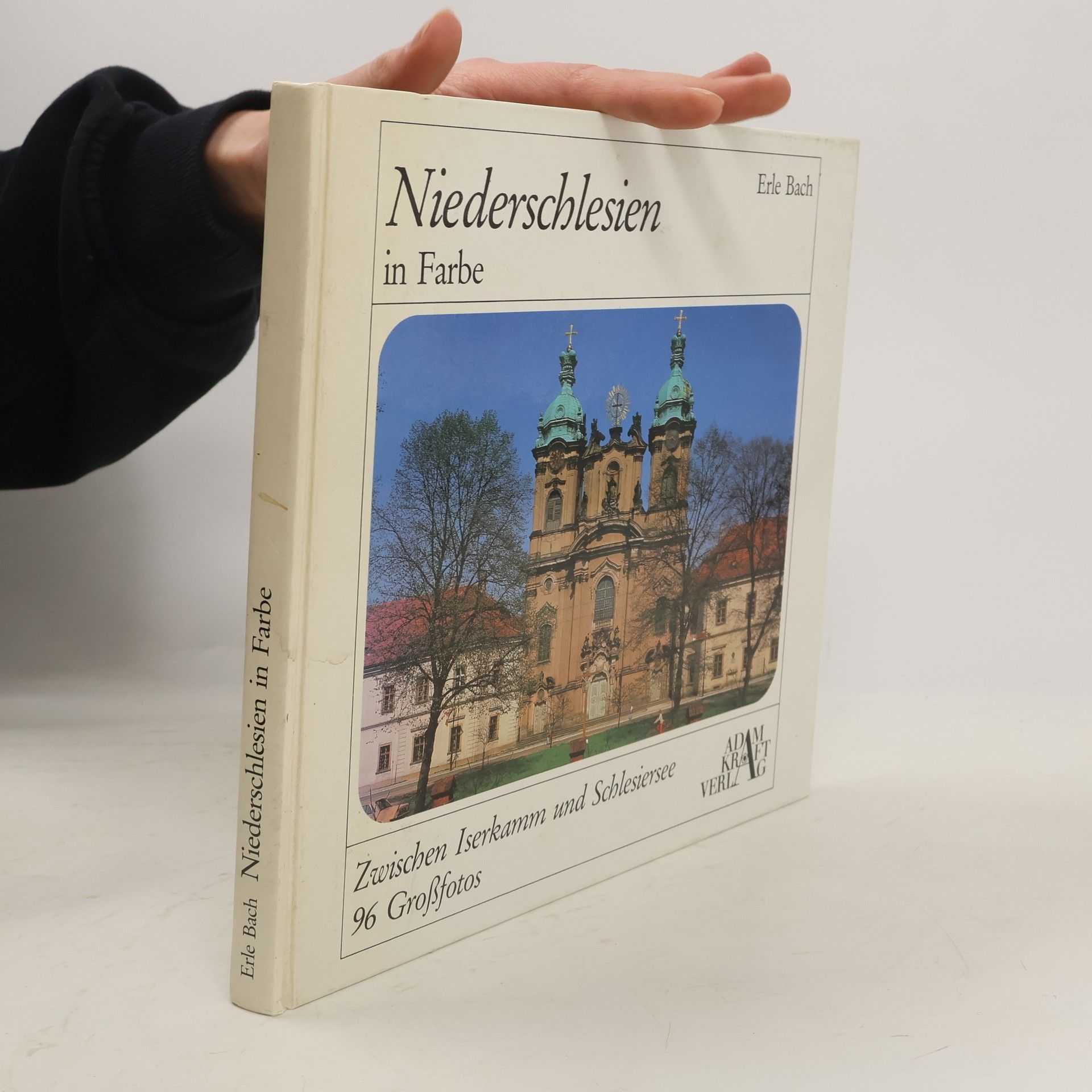 Erle Bach Niederschlesien in Farbe