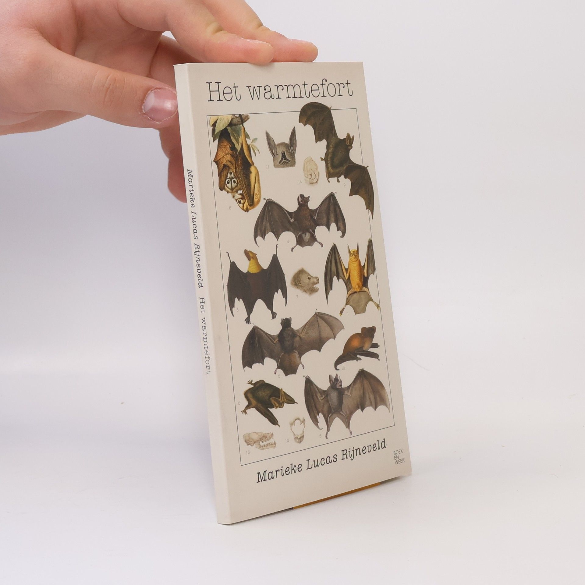 Lucas Rijneveld Het warmtefort