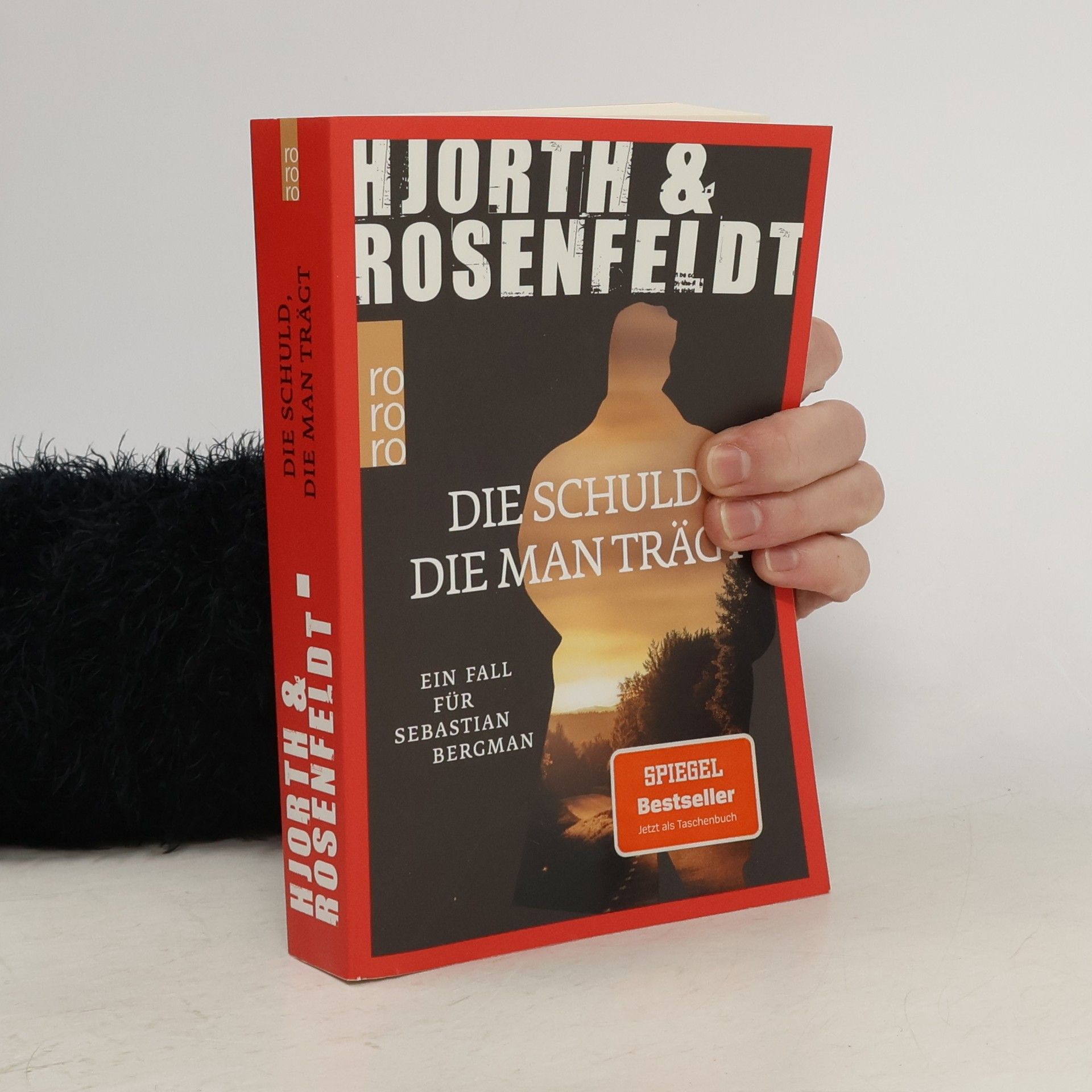 Die Schuld, die man trägt / Sebastian Bergman Bd.8