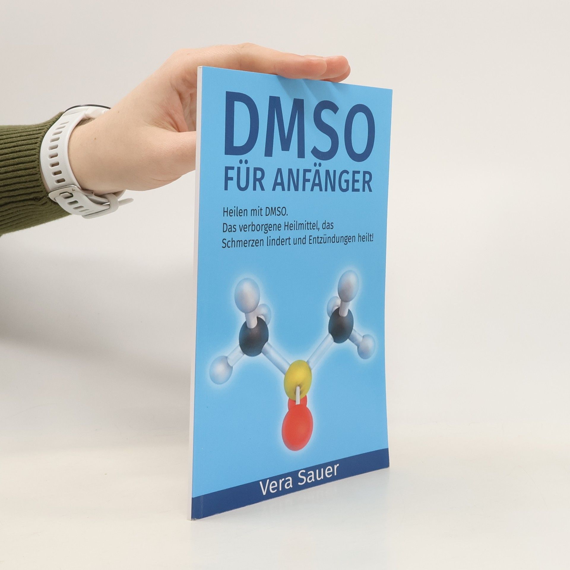 Vera Sauer DMSO für Anfänger