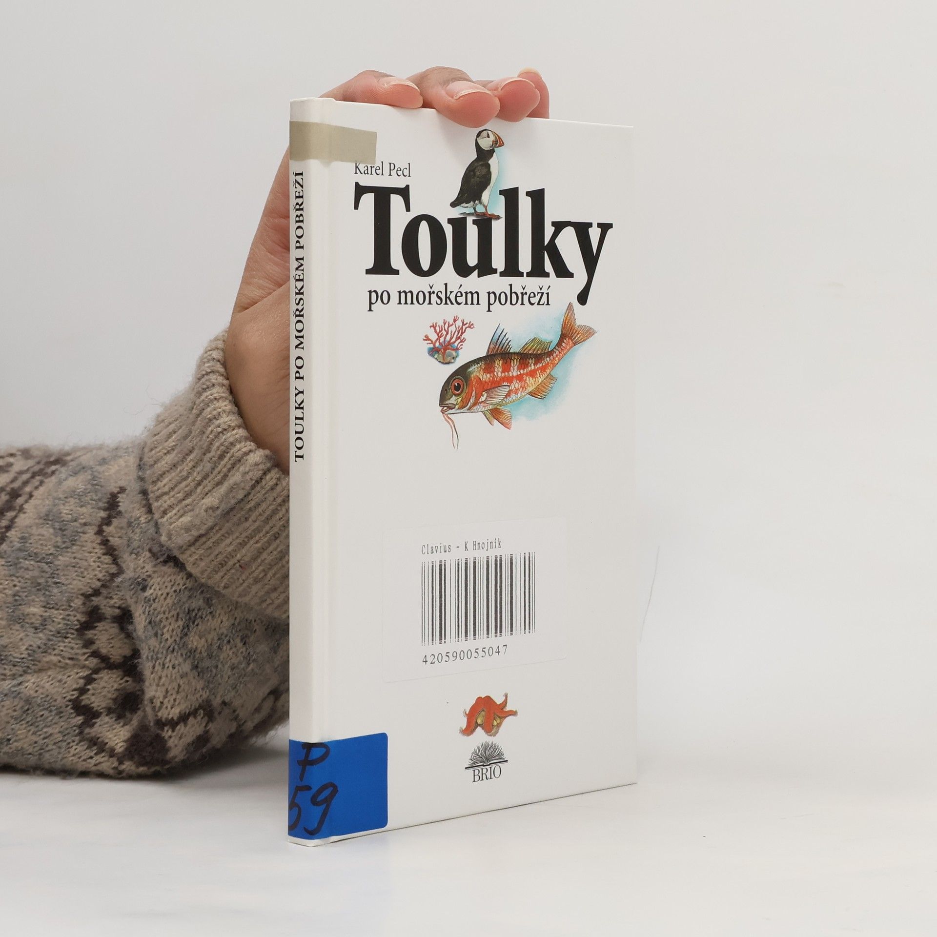 Karel Pecl Toulky po mořském pobřeží