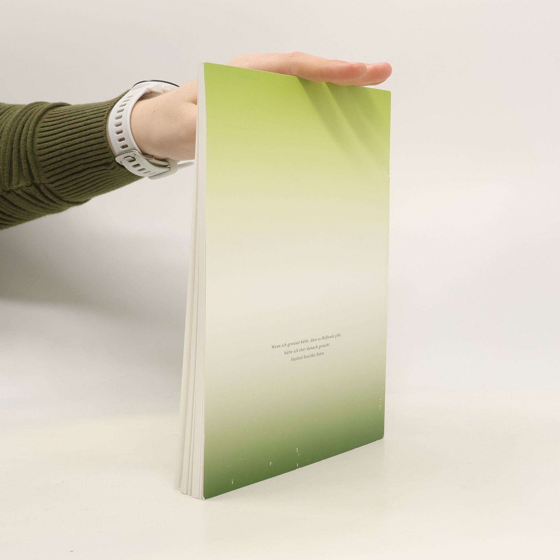 Manfred Bieschke-Behm Depressionen: Ein Handbuch und Ratgeber