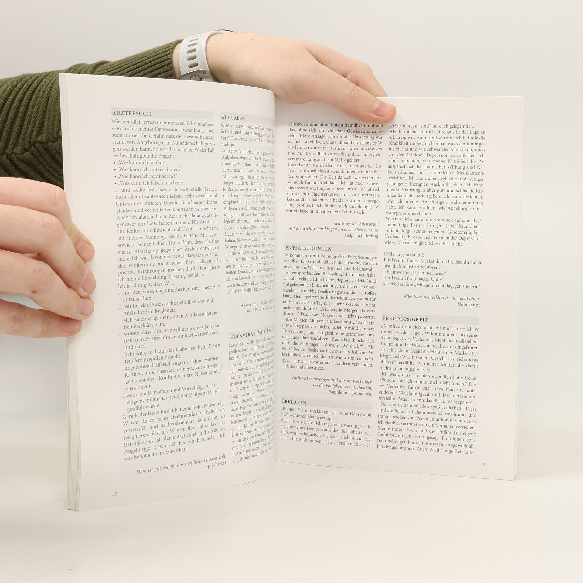 Manfred Bieschke-Behm Depressionen: Ein Handbuch und Ratgeber