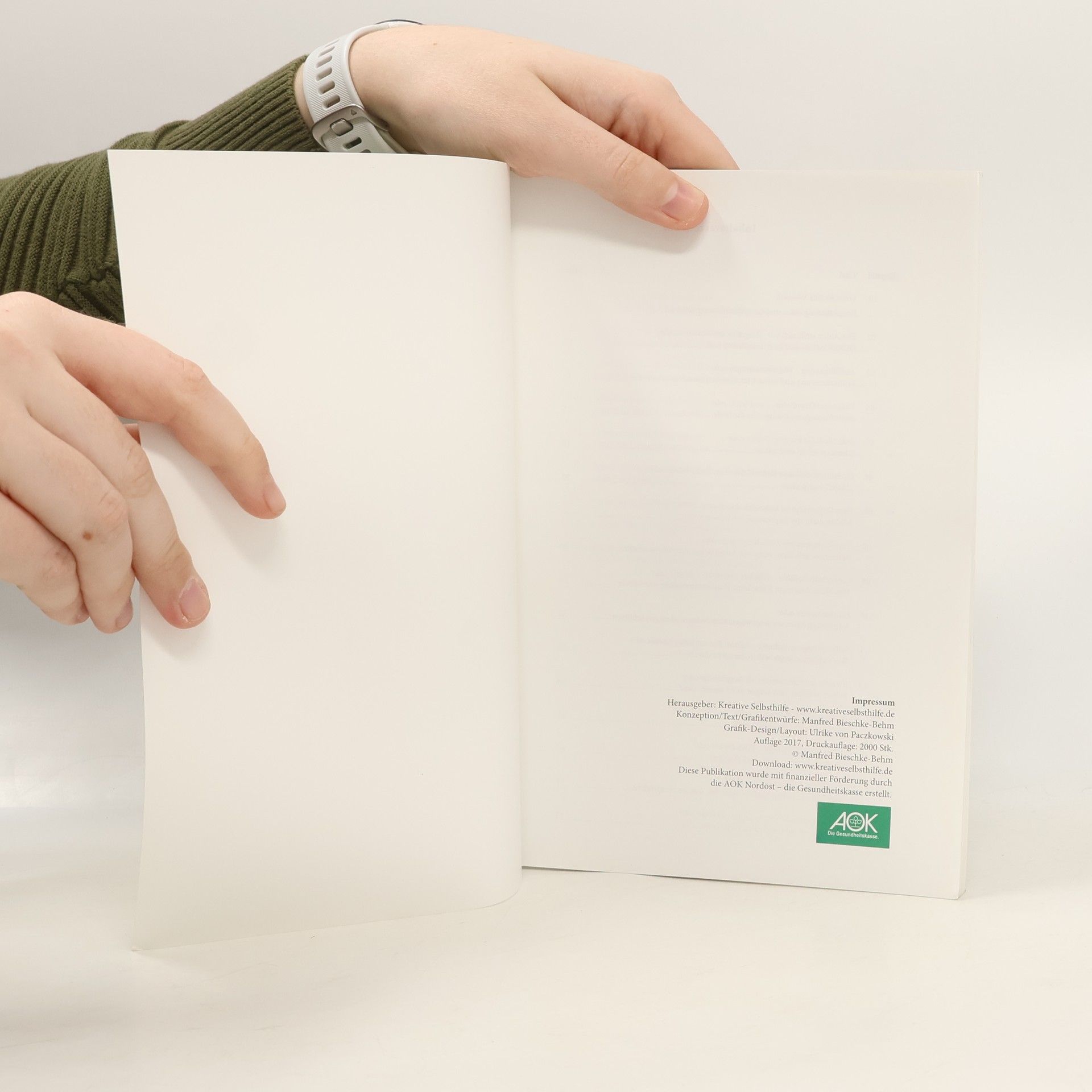 Manfred Bieschke-Behm Depressionen: Ein Handbuch und Ratgeber