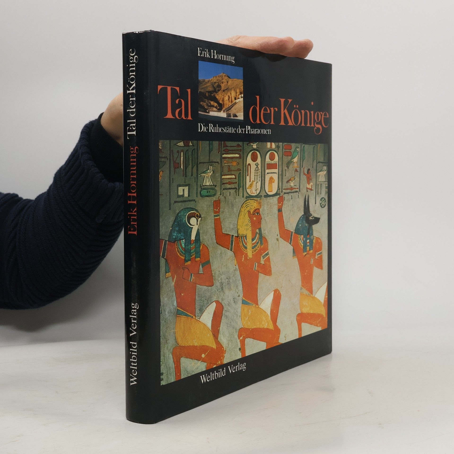 Erik Hornung Tal der Könige