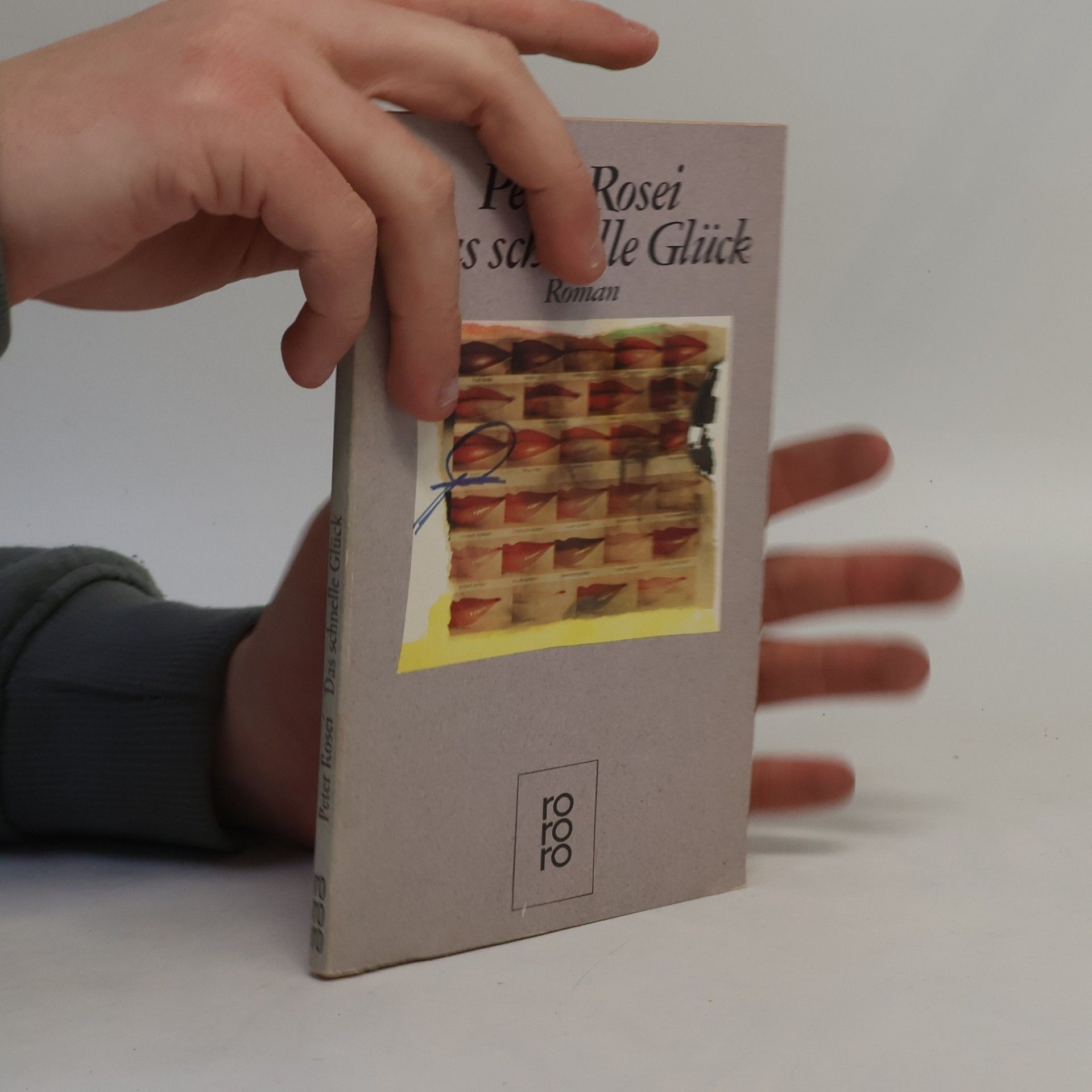 Peter Rosei Das schnelle Glück