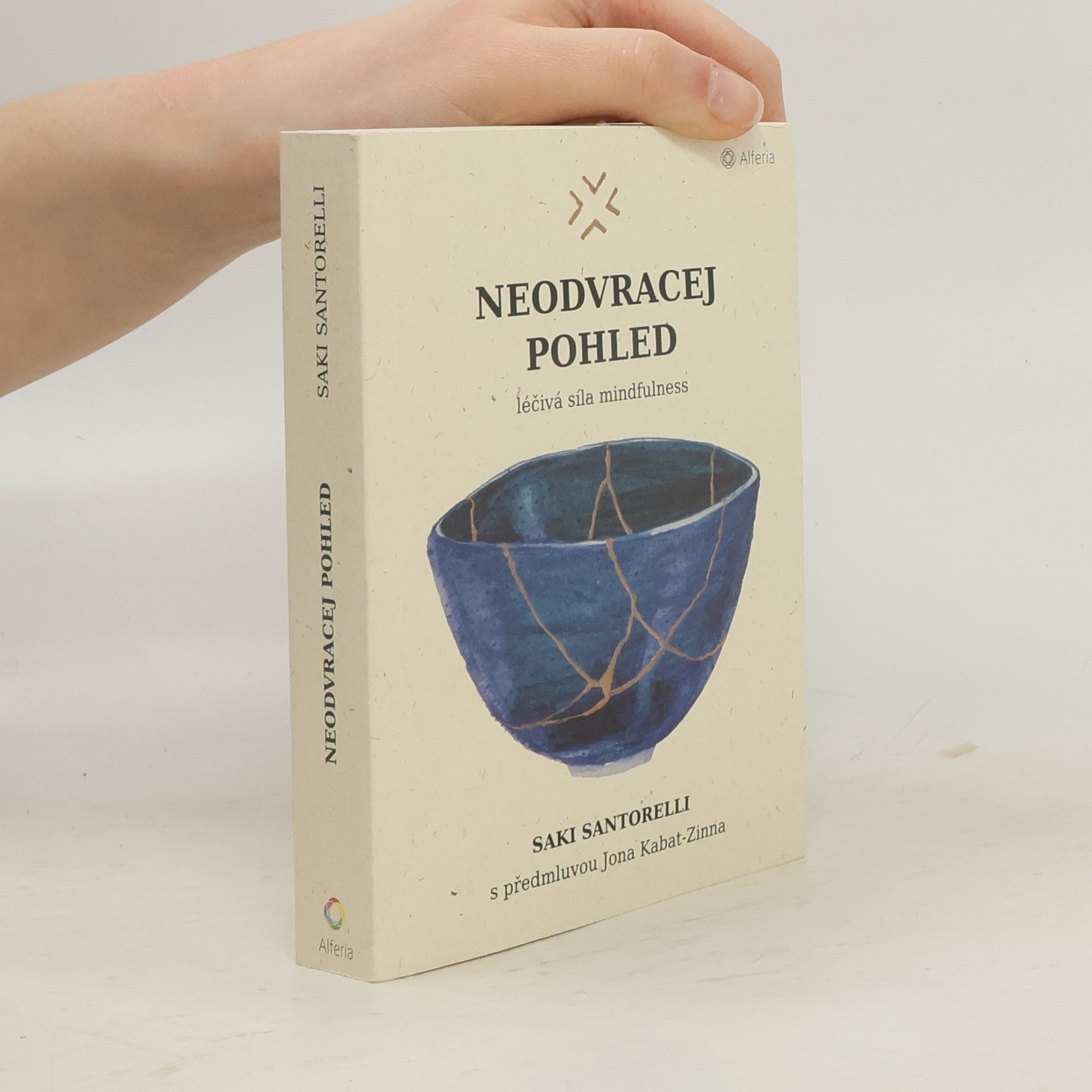 Saki Santorelli Neodvracej pohled : léčivá síla mindfulness