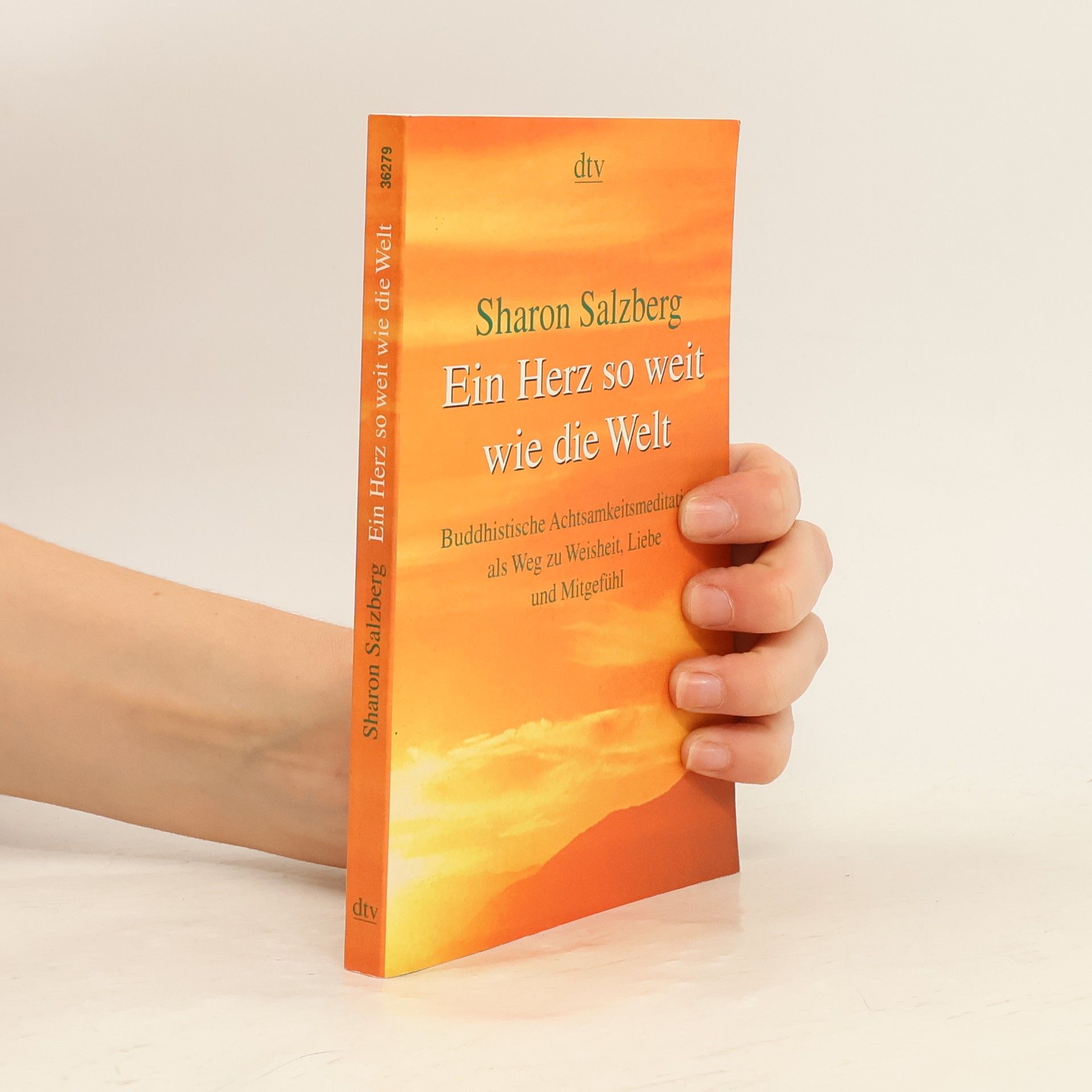 Sharon Salzberg Ein Herz so weit wie die Welt