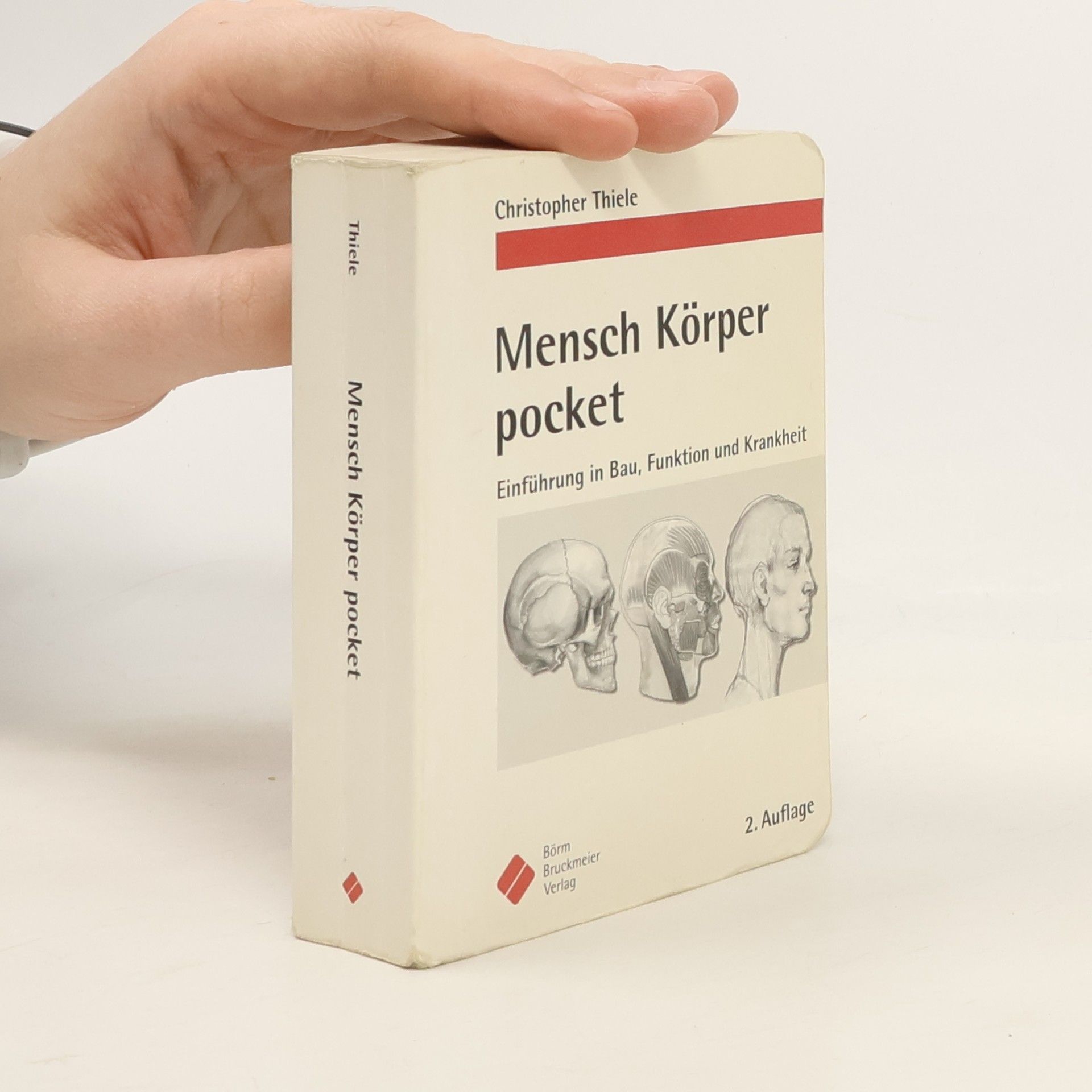 Christopher Thiele Mensch, Körper pocket: Einführung in Bau, Funktion und Krankheit - 2. Auflage