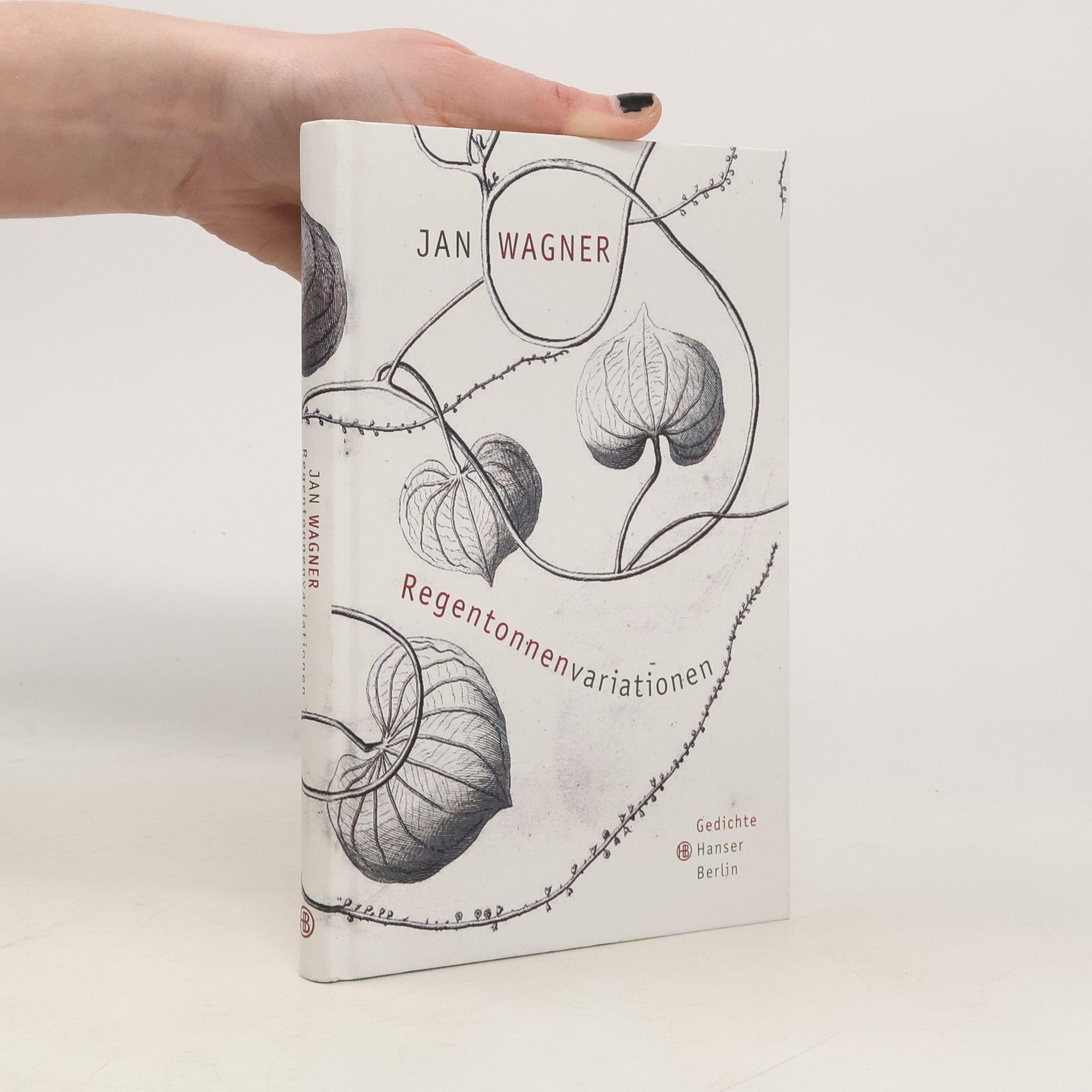 Wagner Jan Regentonnenvariationen