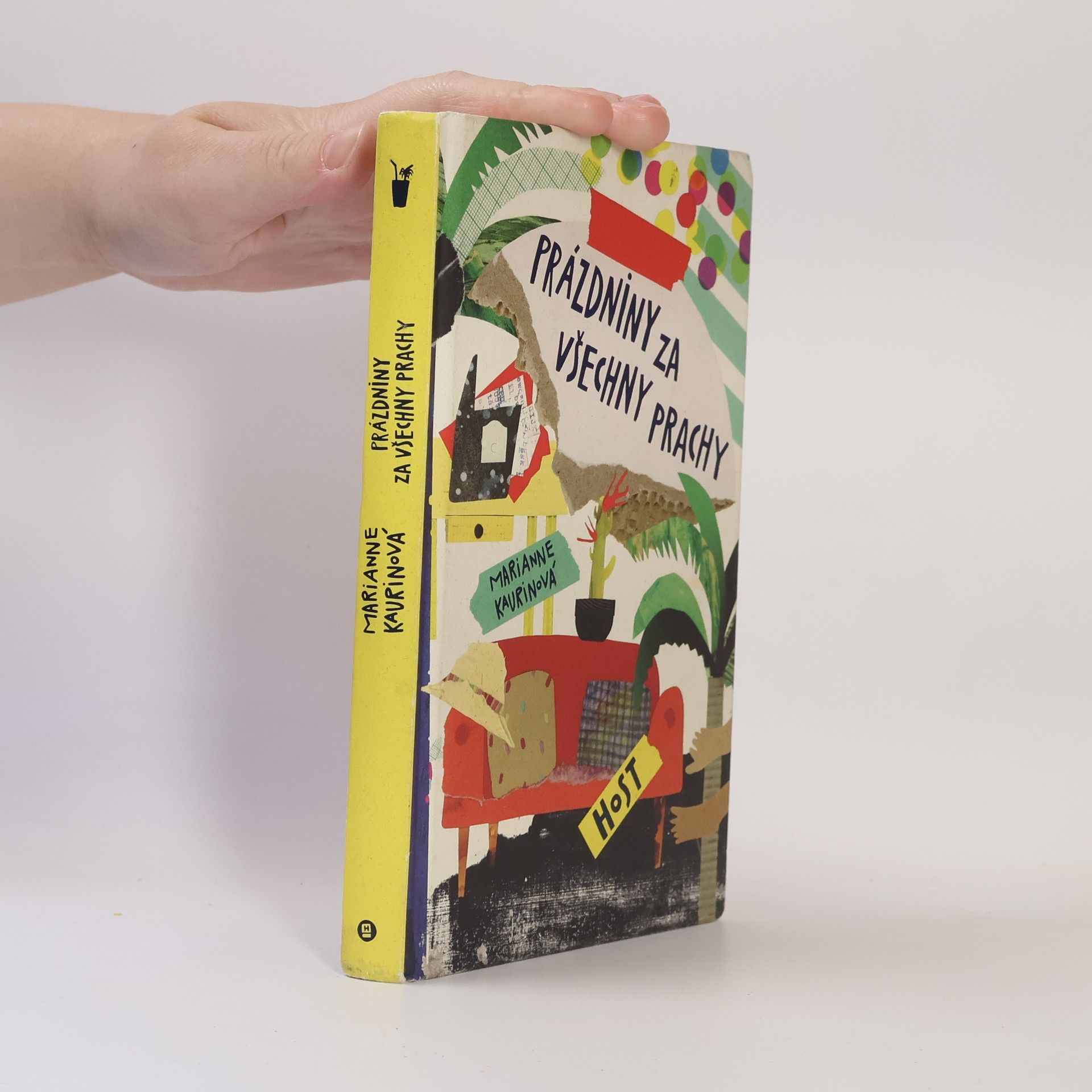 Marianne Kaurin Prázdniny za všechny prachy