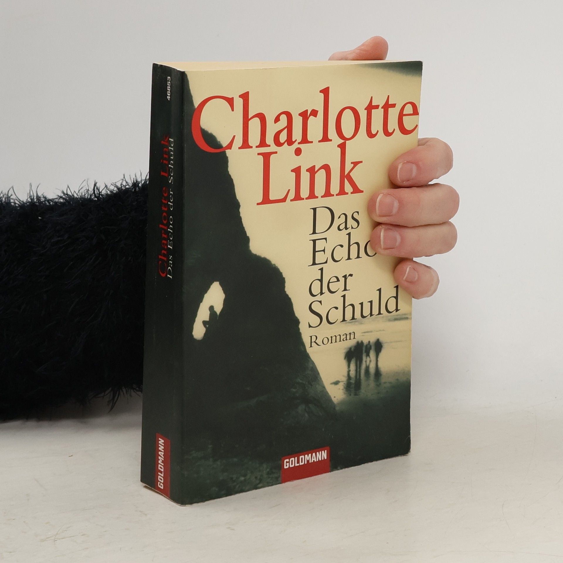 Charlotte Link Das Echo der Schuld