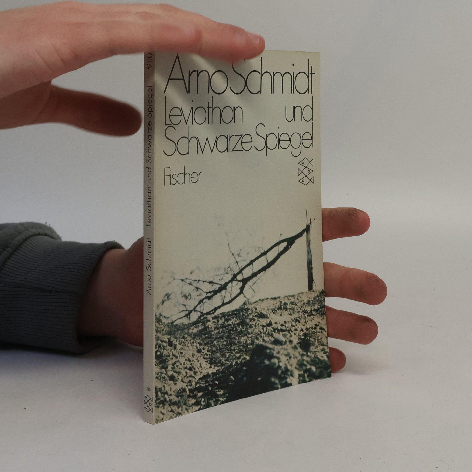 Arno Schmidt Leviathan und Schwarze Spiegel