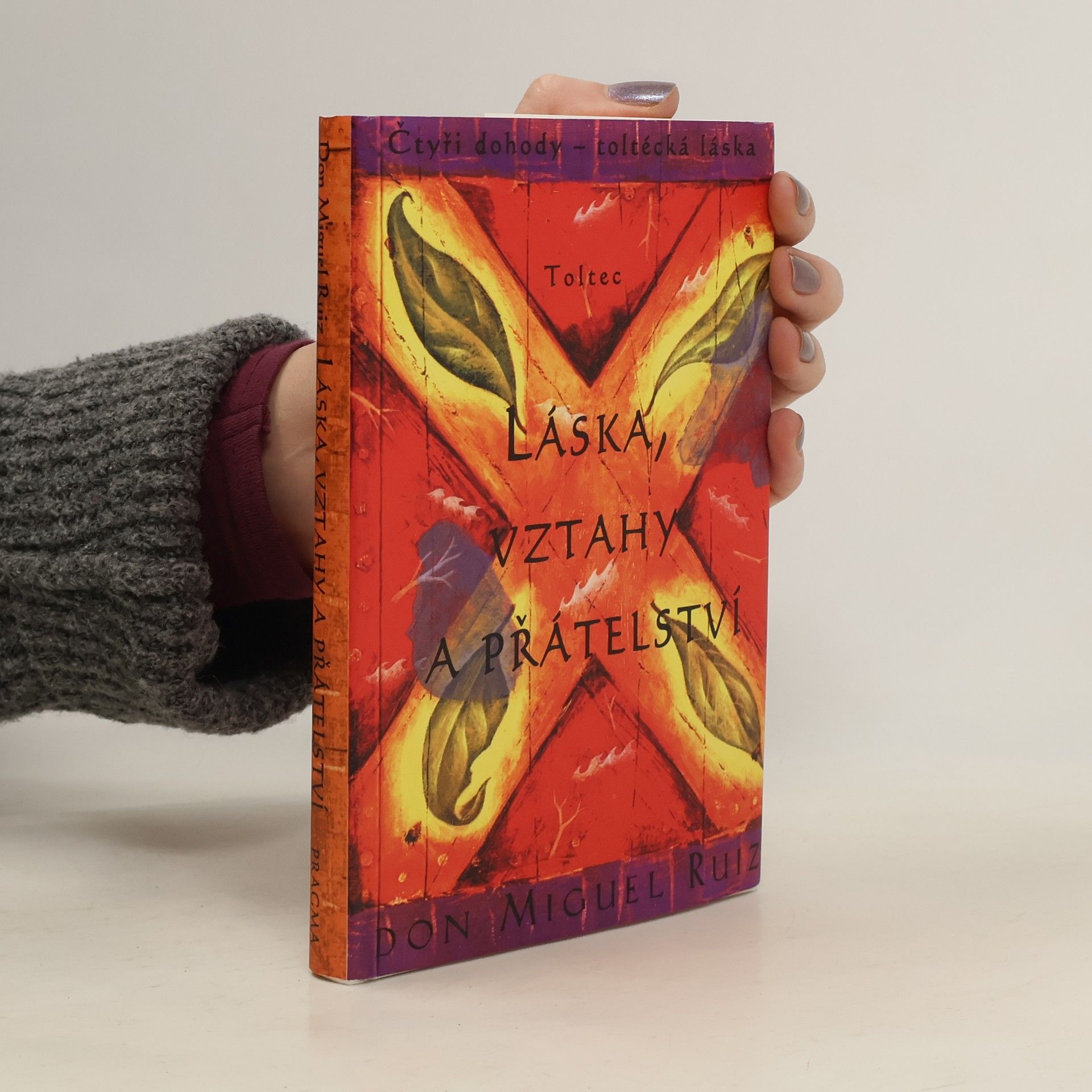 Don Miguel Ruiz Láska, vztahy a přátelství