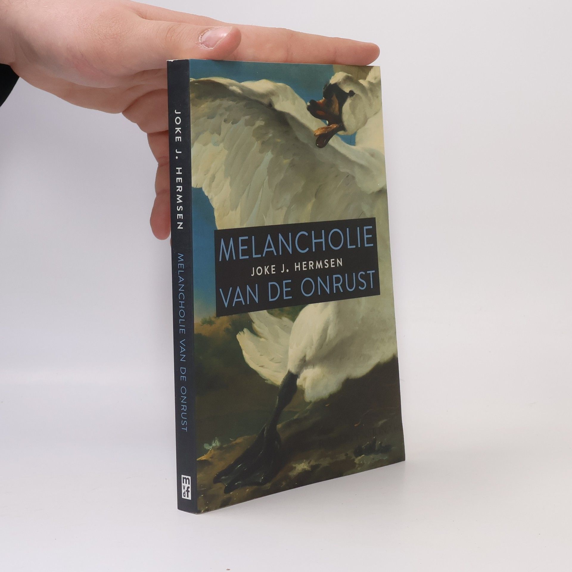 Joke Johannetta Hermsen Melancholie van de onrust