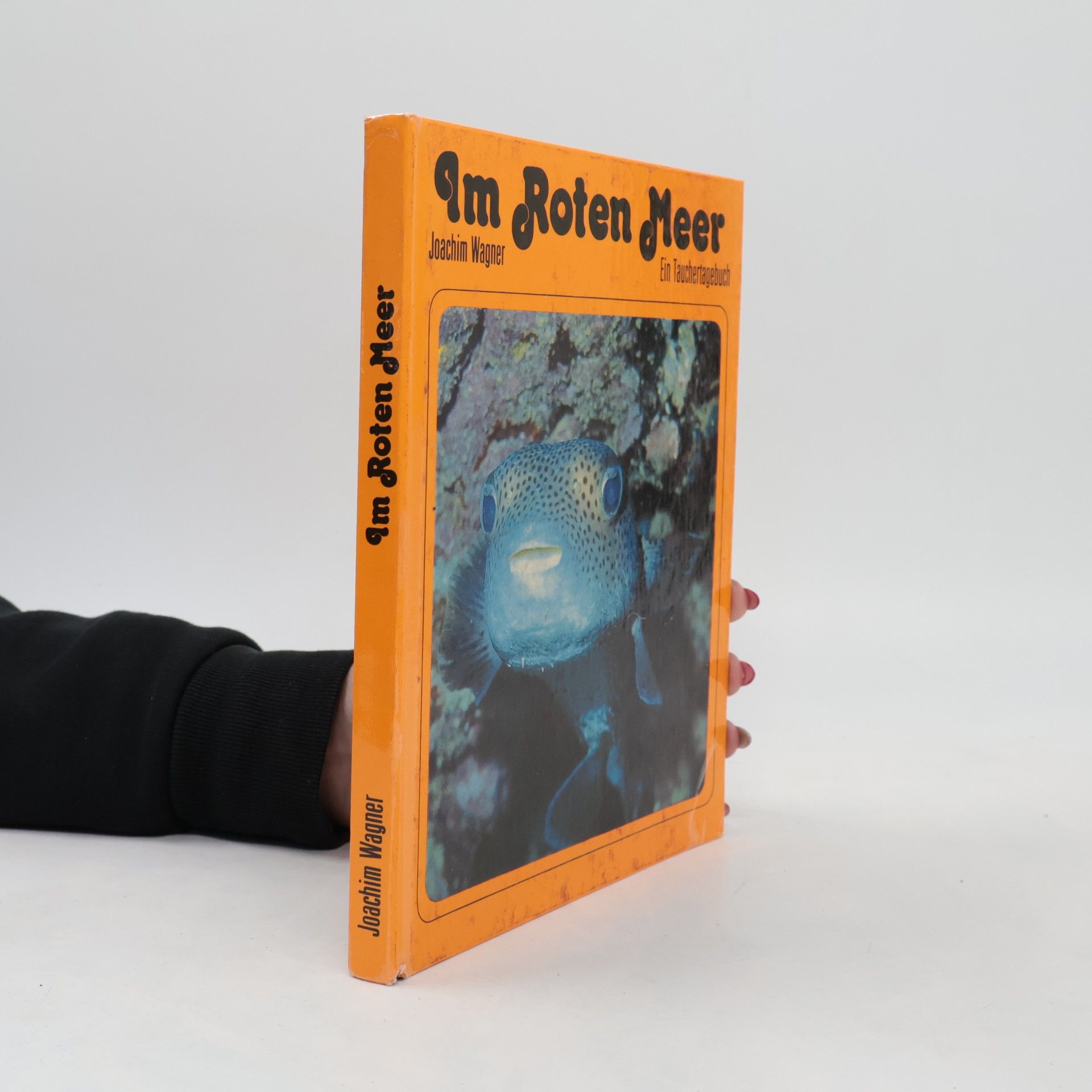 Joachim Wagner Im Roten Meer