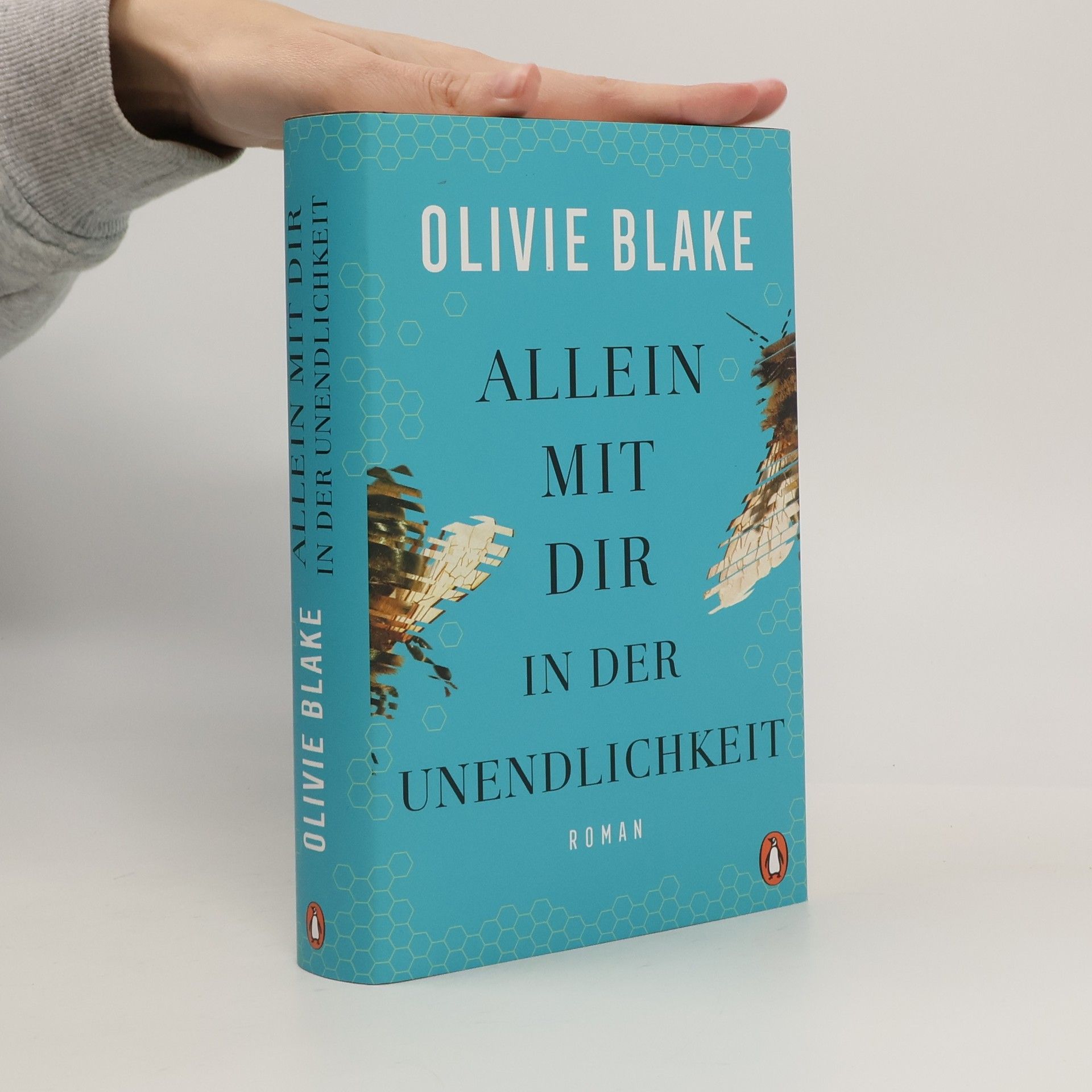 Olivie Blake Allein mit dir in der Unendlichkeit
