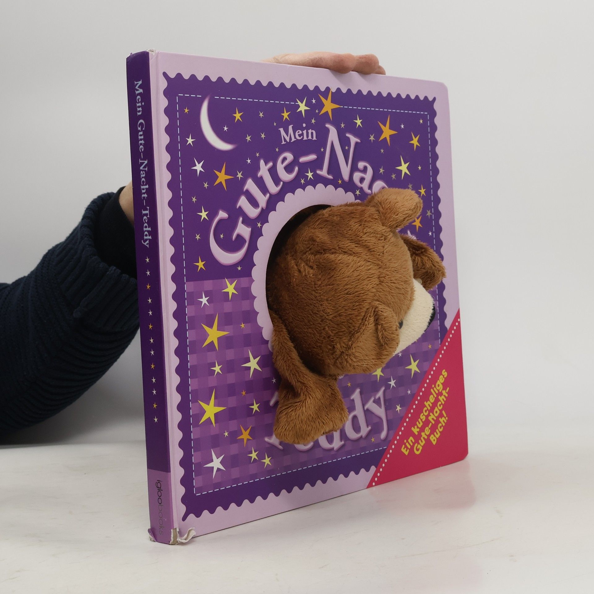 Autorenkollektiv Mein Gute-Nacht-Teddy