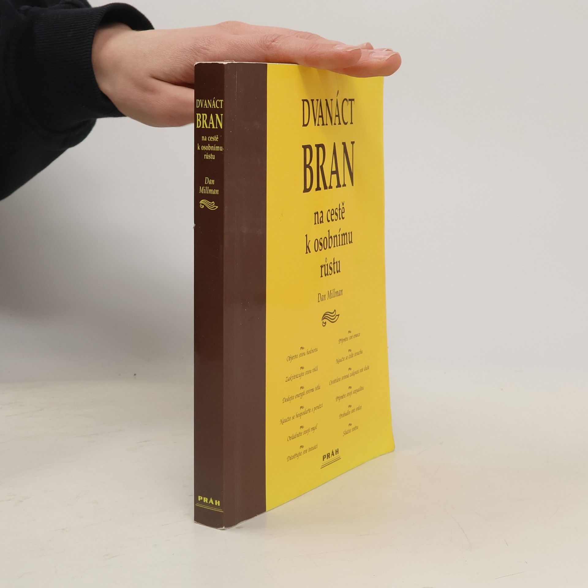 Dan Millman Dvanáct bran na cestě k osobnímu růstu