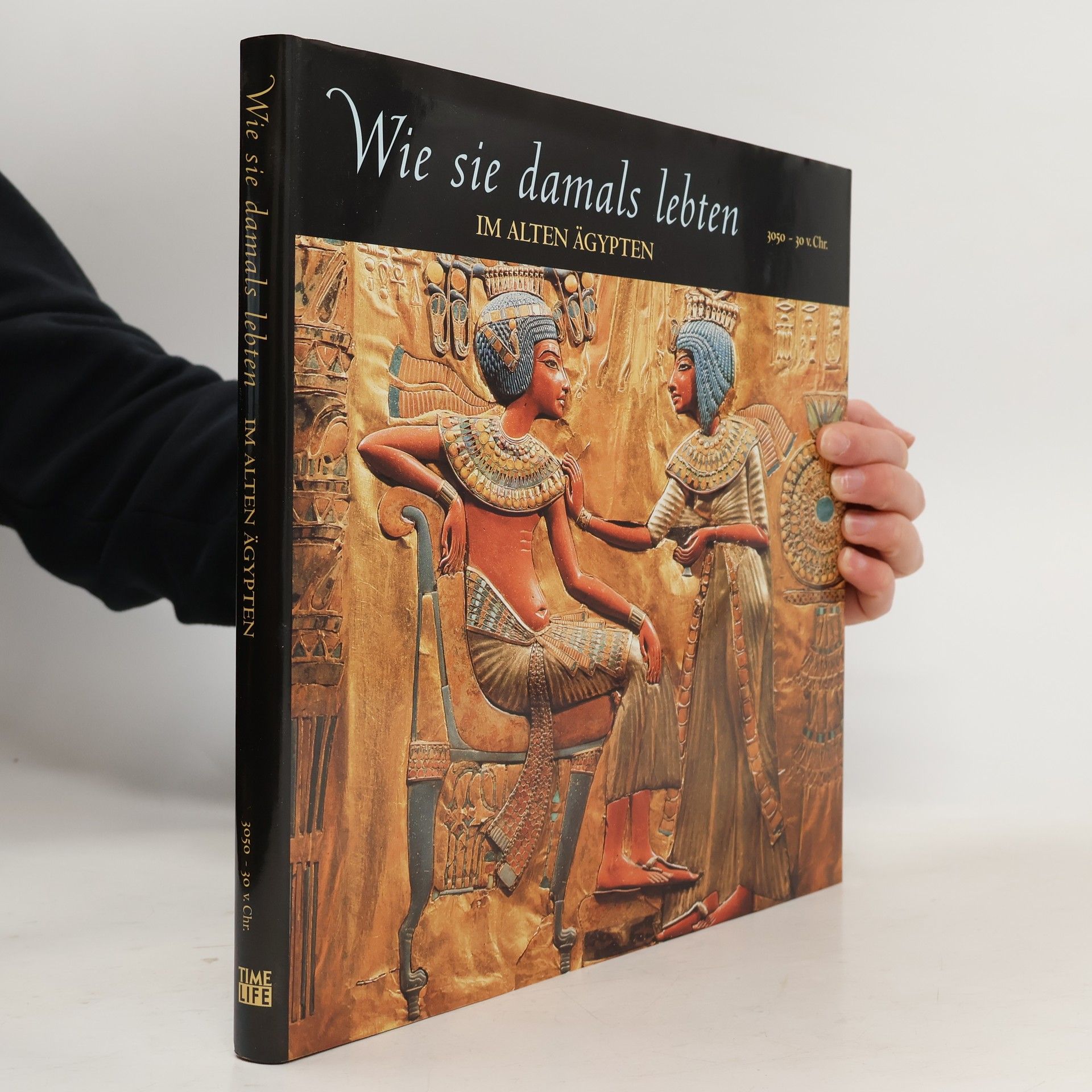 Autorenkollektiv Wie sie damals lebten. Im alten Ägypten